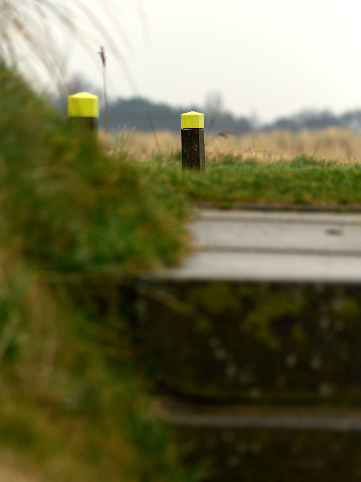 Two yellow-capped wooden bollards along a rural pathway bordered by green grass and golden fields.