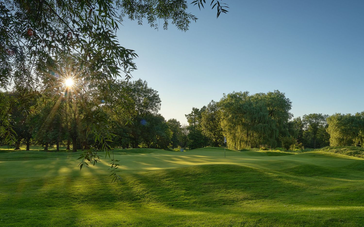 Sunlight bursting through willow trees over a pristine golf course fairway on a clear summer day.