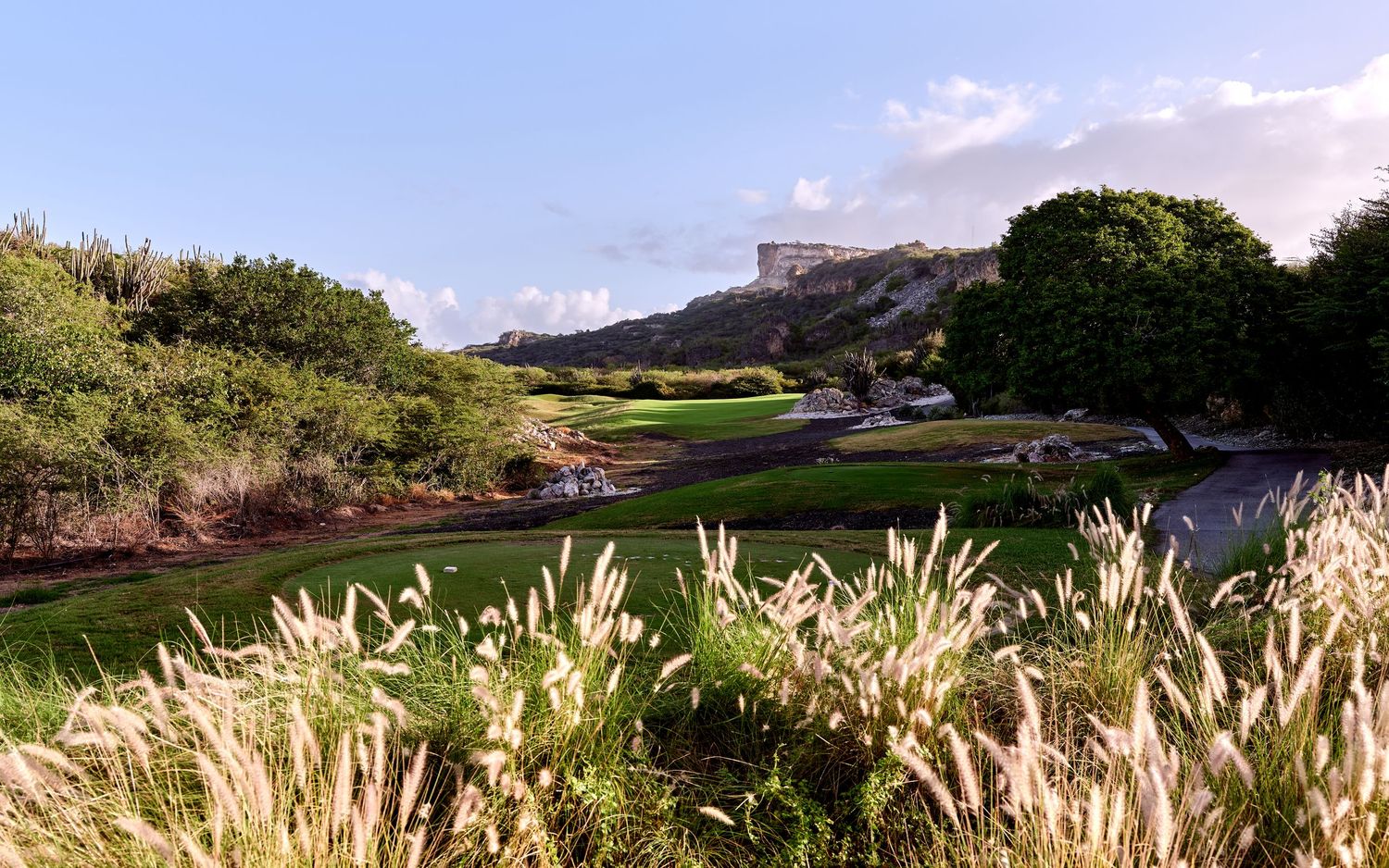 Lush golf course fairway winding through desert terrain with mountains in background and ornamental grasses.