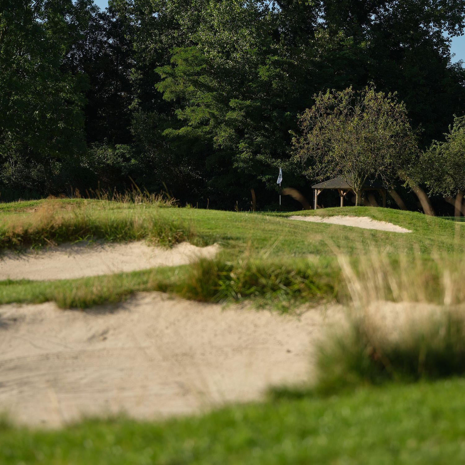 Sand bunker on a lush golf course fairway surrounded by tall trees and a small shelter in the background.