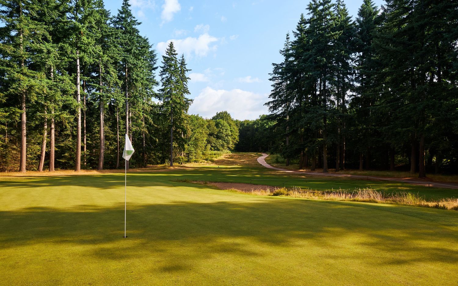 Lush green golf course fairway lined with tall evergreen trees under a bright blue sky.