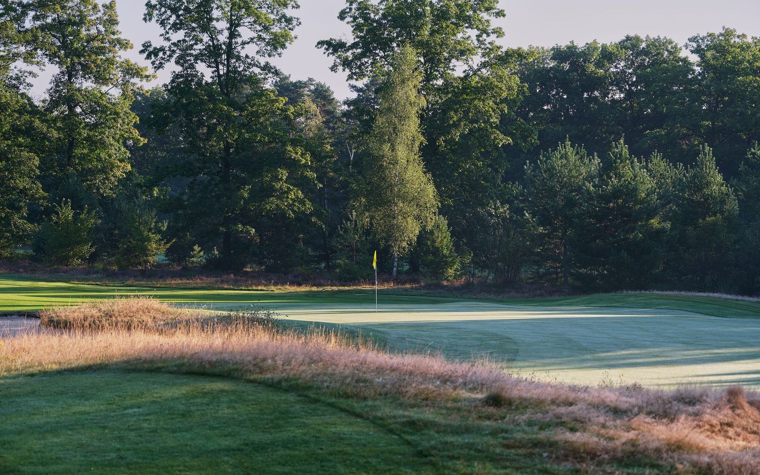 A scenic golf course fairway with lush green grass and native grasses bordering the edges on a sunny day.
