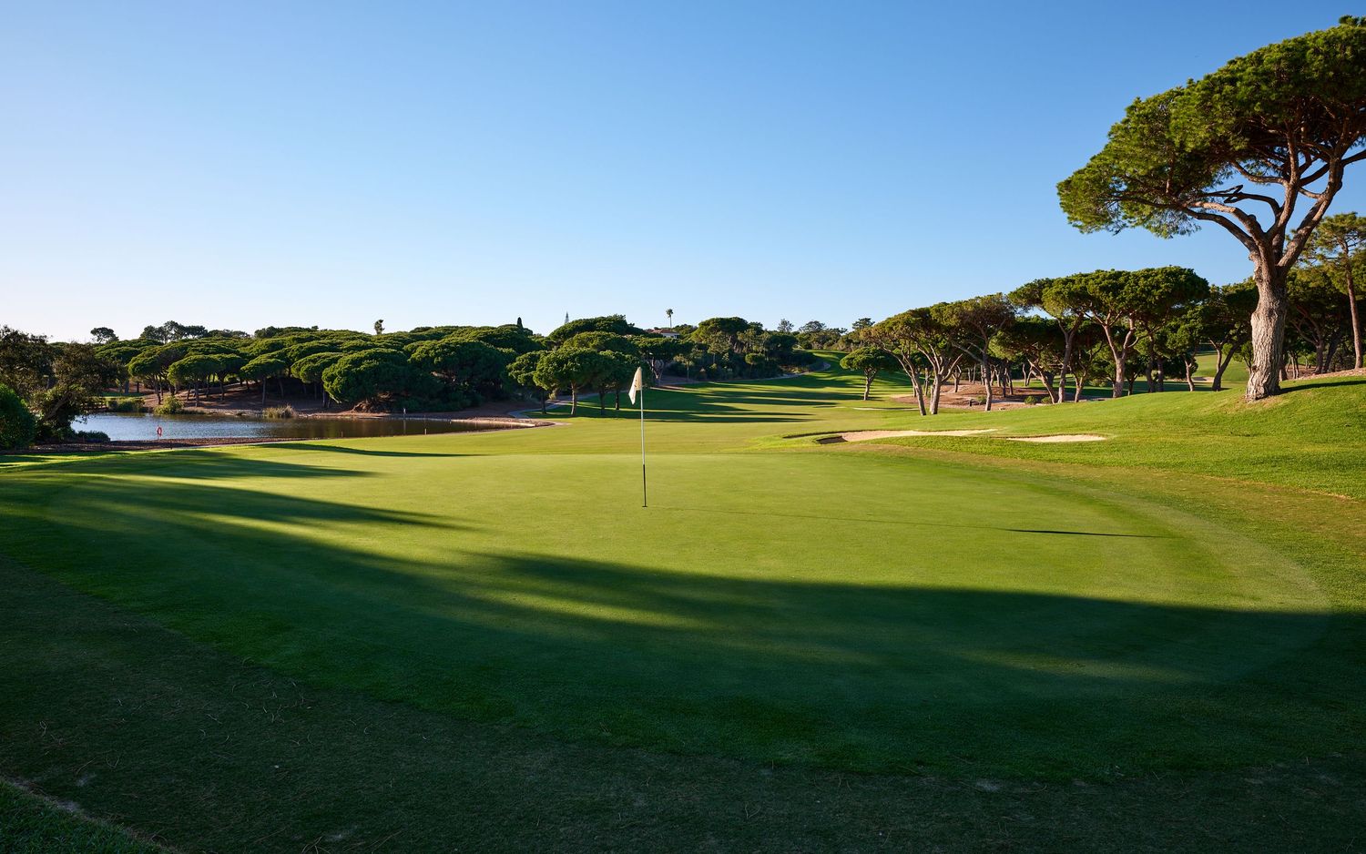 Lush green golf course fairway with white flag, sand bunkers, and pine trees under a clear blue sky.