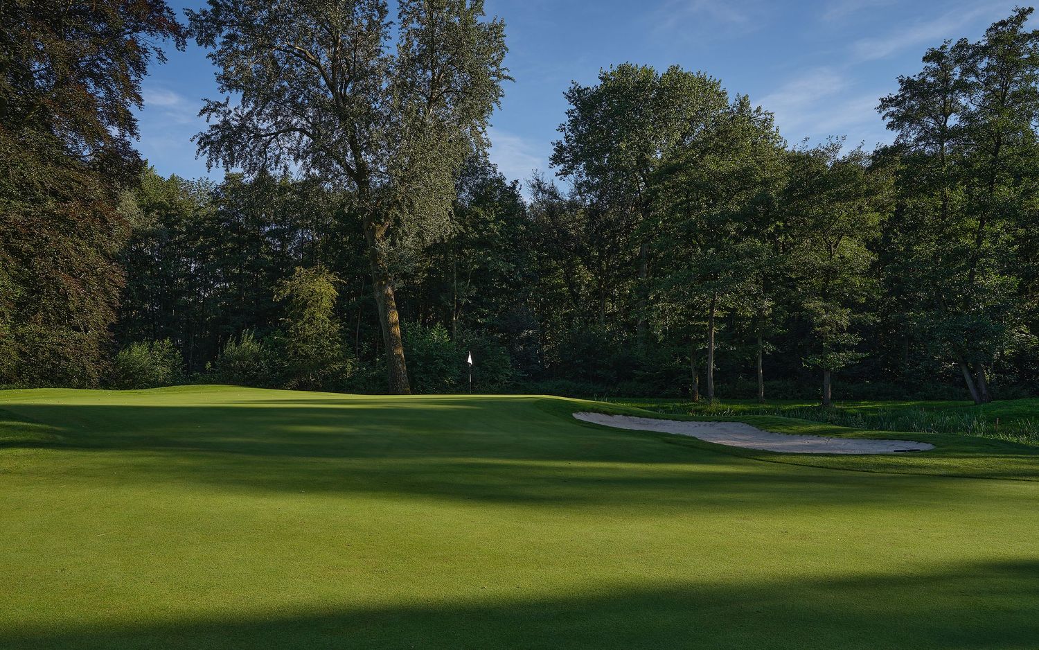Scenic golf course green with a white flag, sand bunker, and tall trees casting shadows on a sunny day.