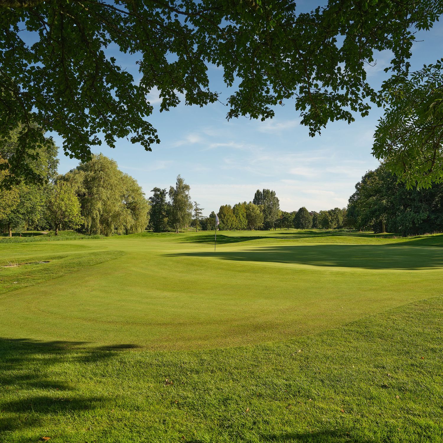 Lush green golf course fairway with a flag pin, surrounded by mature trees under a clear blue sky.
