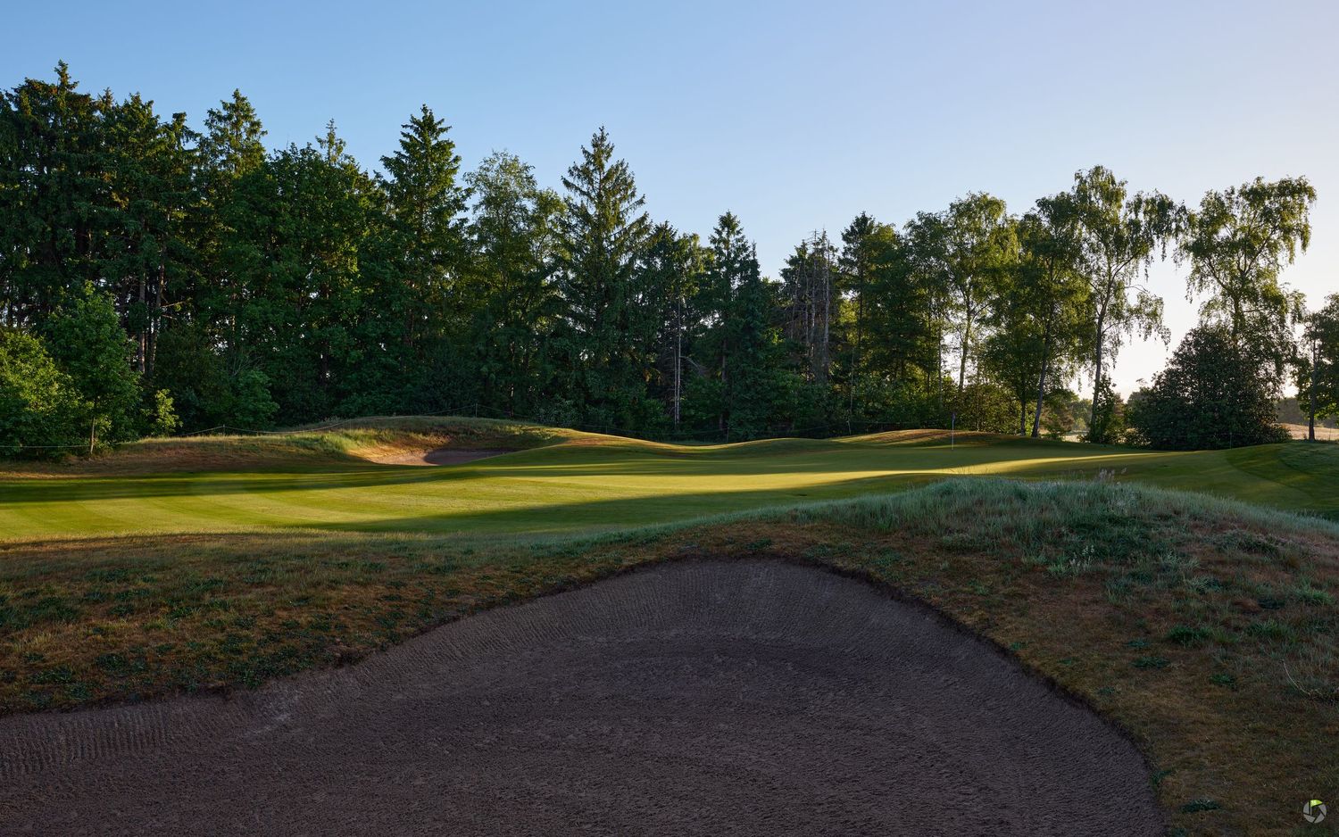 Scenic golf course fairway with sand bunkers, lush green grass, and tall pine trees under a clear blue sky.