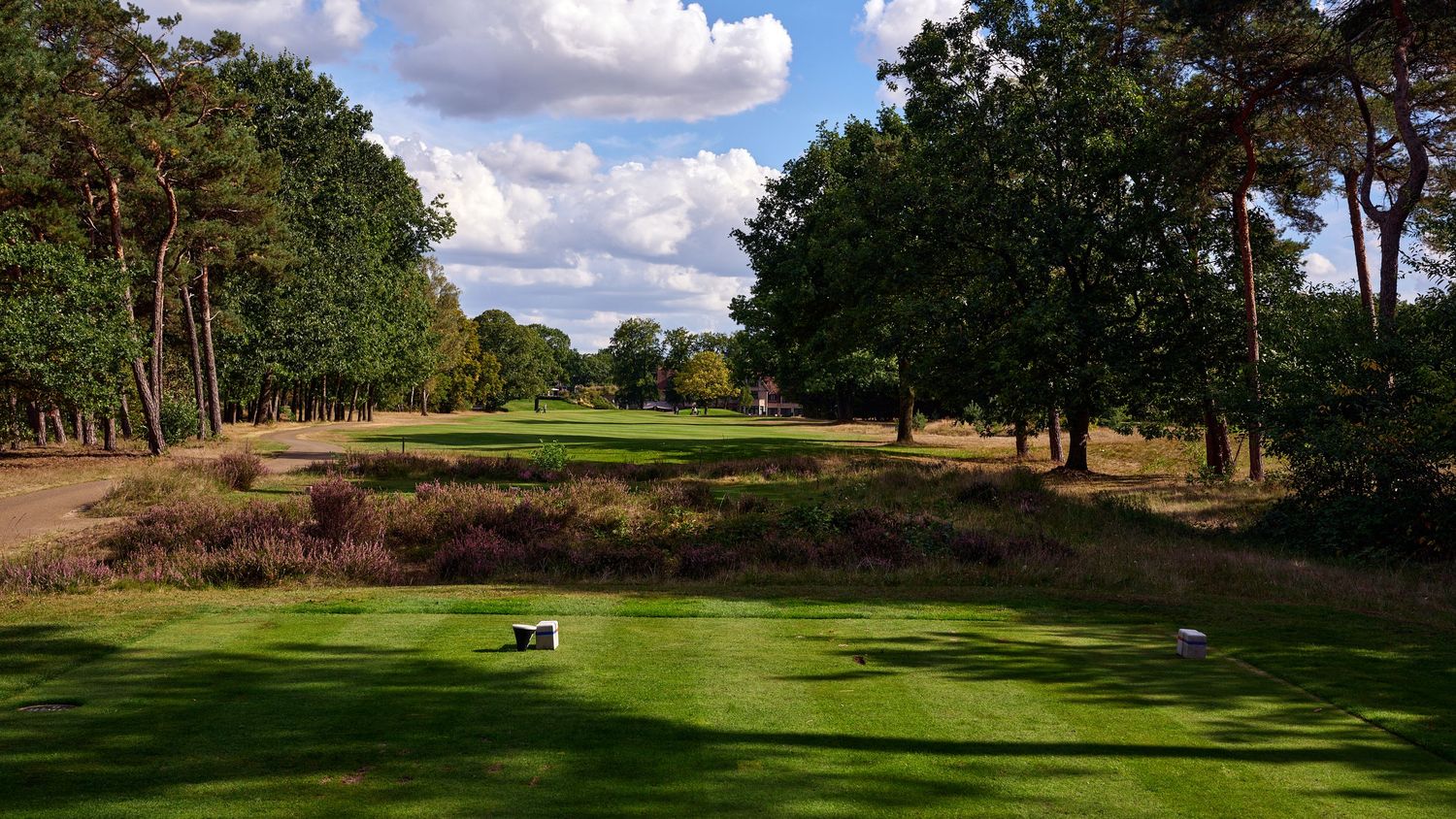Lush green golf course fairway lined with dense trees under a partly cloudy sky.