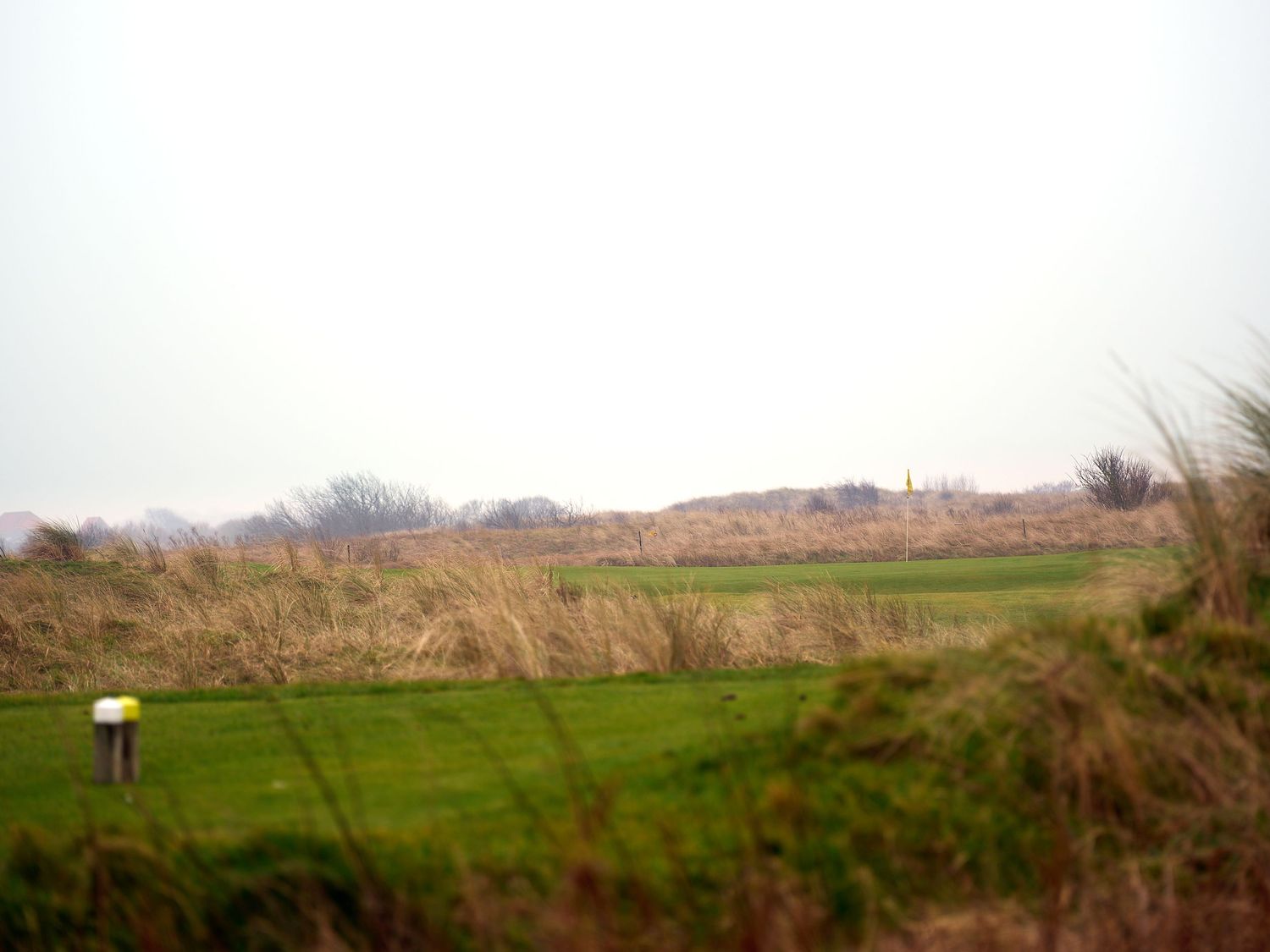 A serene links golf course fairway surrounded by golden rough grass and sandy dunes under a pale overcast sky.
