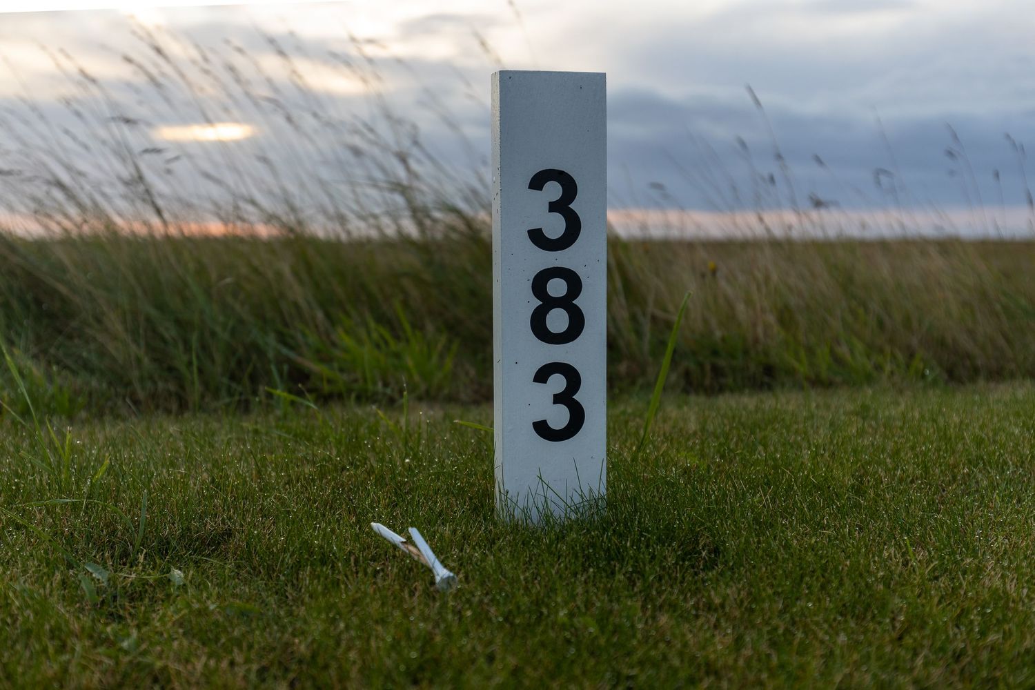 White yardage marker post showing 383 yards on a golf course fairway with grass and cloudy sky.