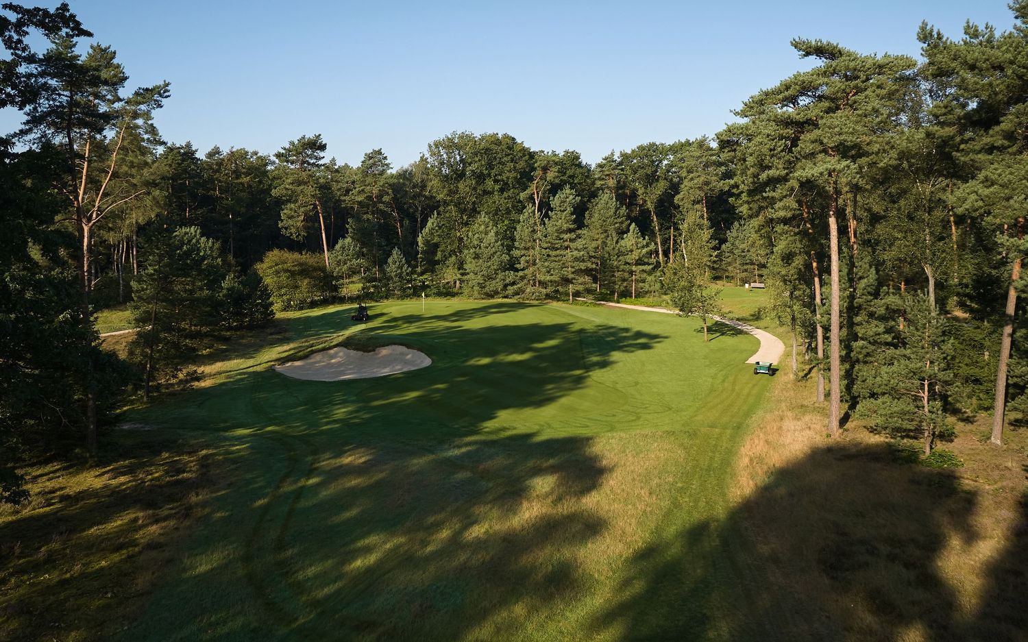 A scenic golf course fairway winds through tall pine trees on a sunny day with lush green grass and rolling hills.