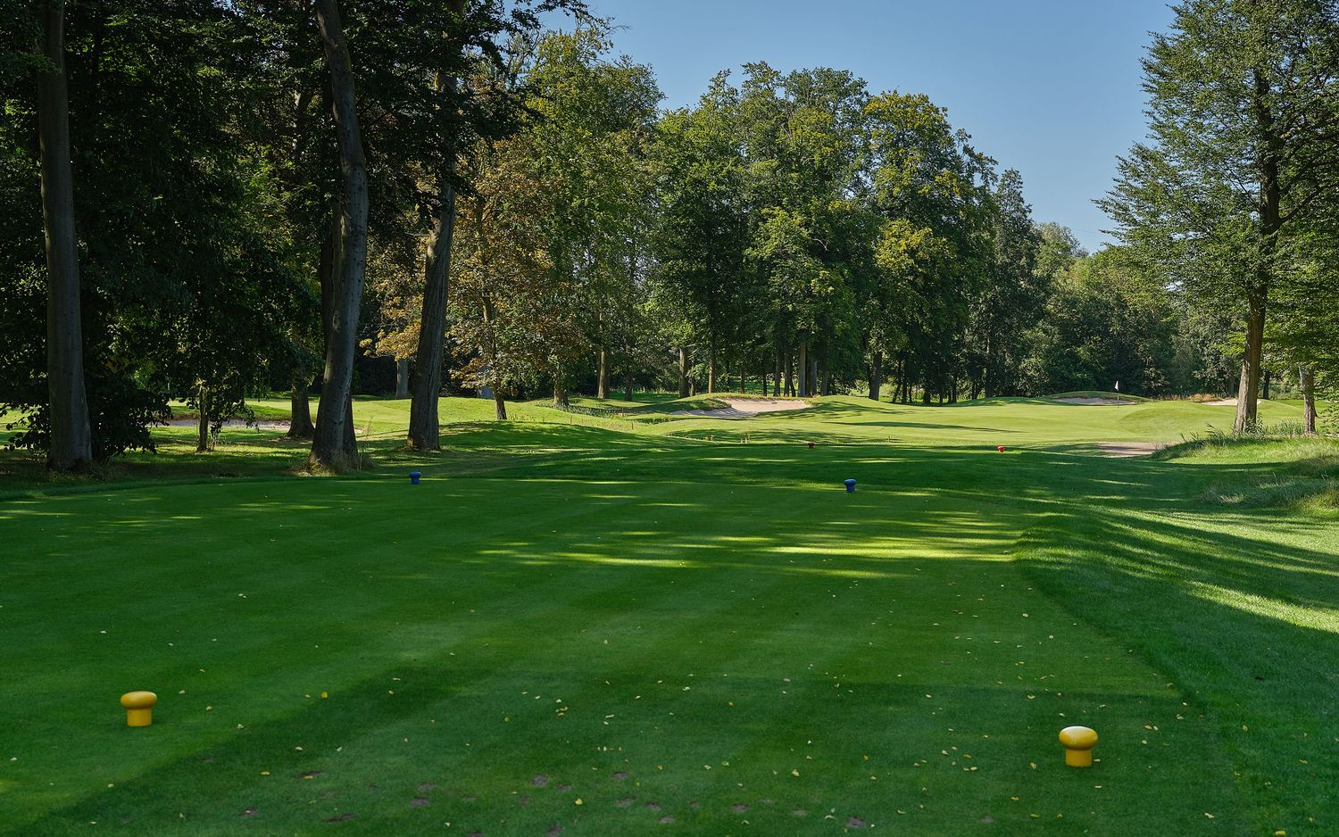 Lush green golf course fairway lined with tall trees under a bright blue sky, with yellow tee markers in the foreground.