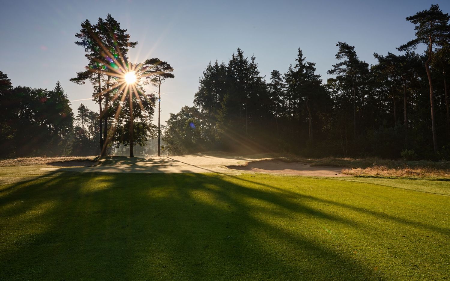 Sunlight streams through evergreen trees onto a misty green golf course fairway at sunrise.