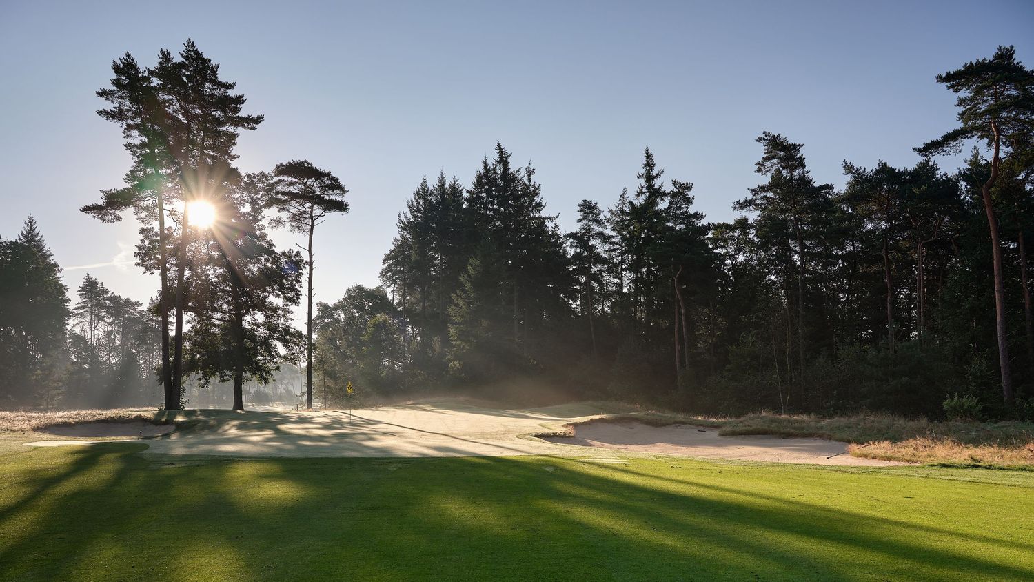 Scenic golf course landscape with sunlight filtering through tall pine trees and misty morning atmosphere on the green.