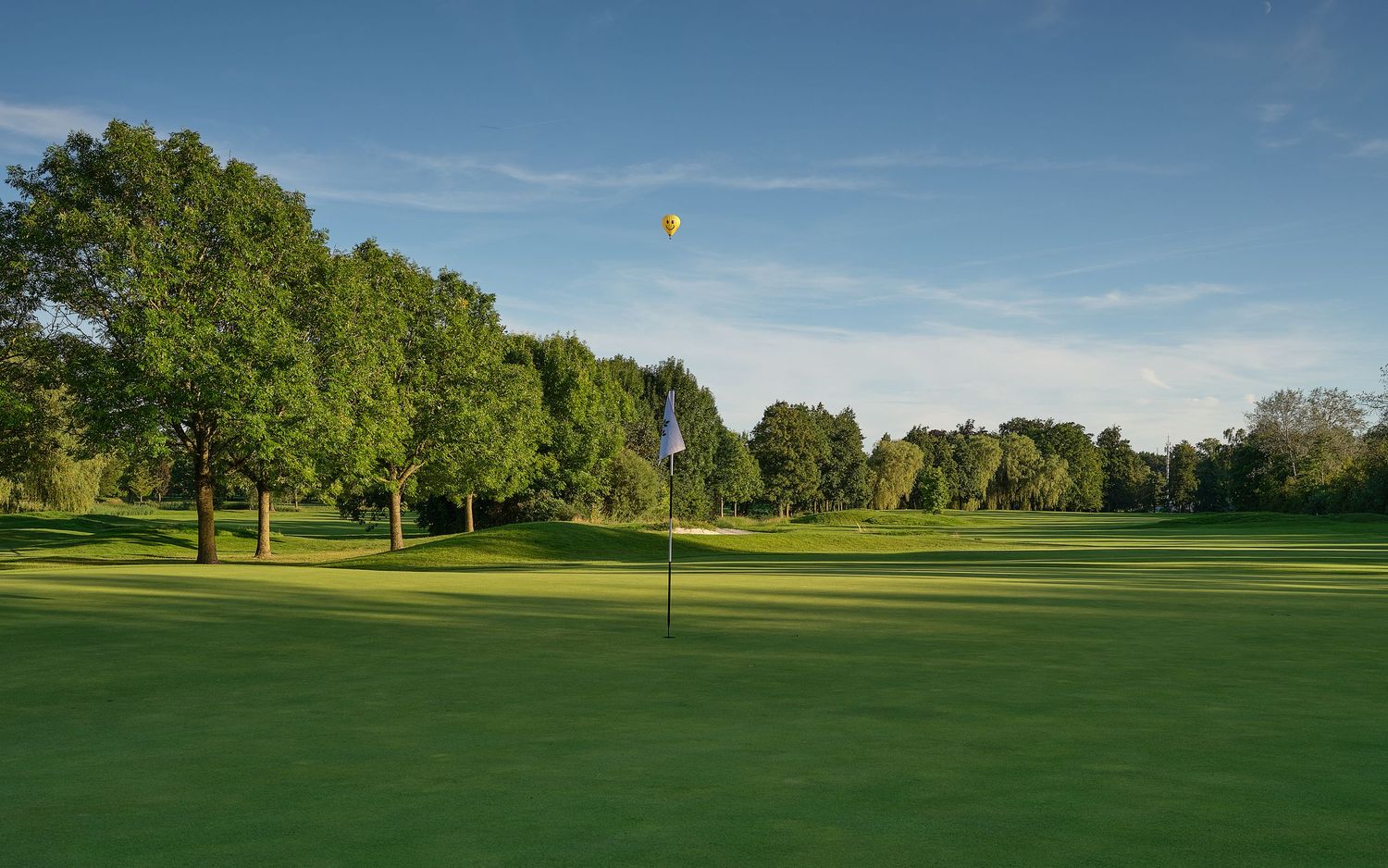 Pristine golf course green with a flag pin and tall trees under a clear blue sky on a sunny day.
