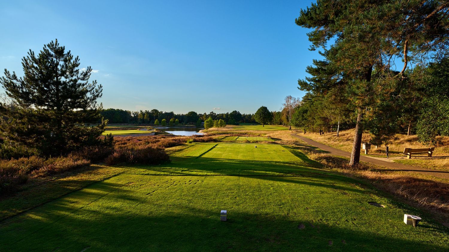 Golf course tee box with fairway leading to a water hazard, flanked by pine trees.