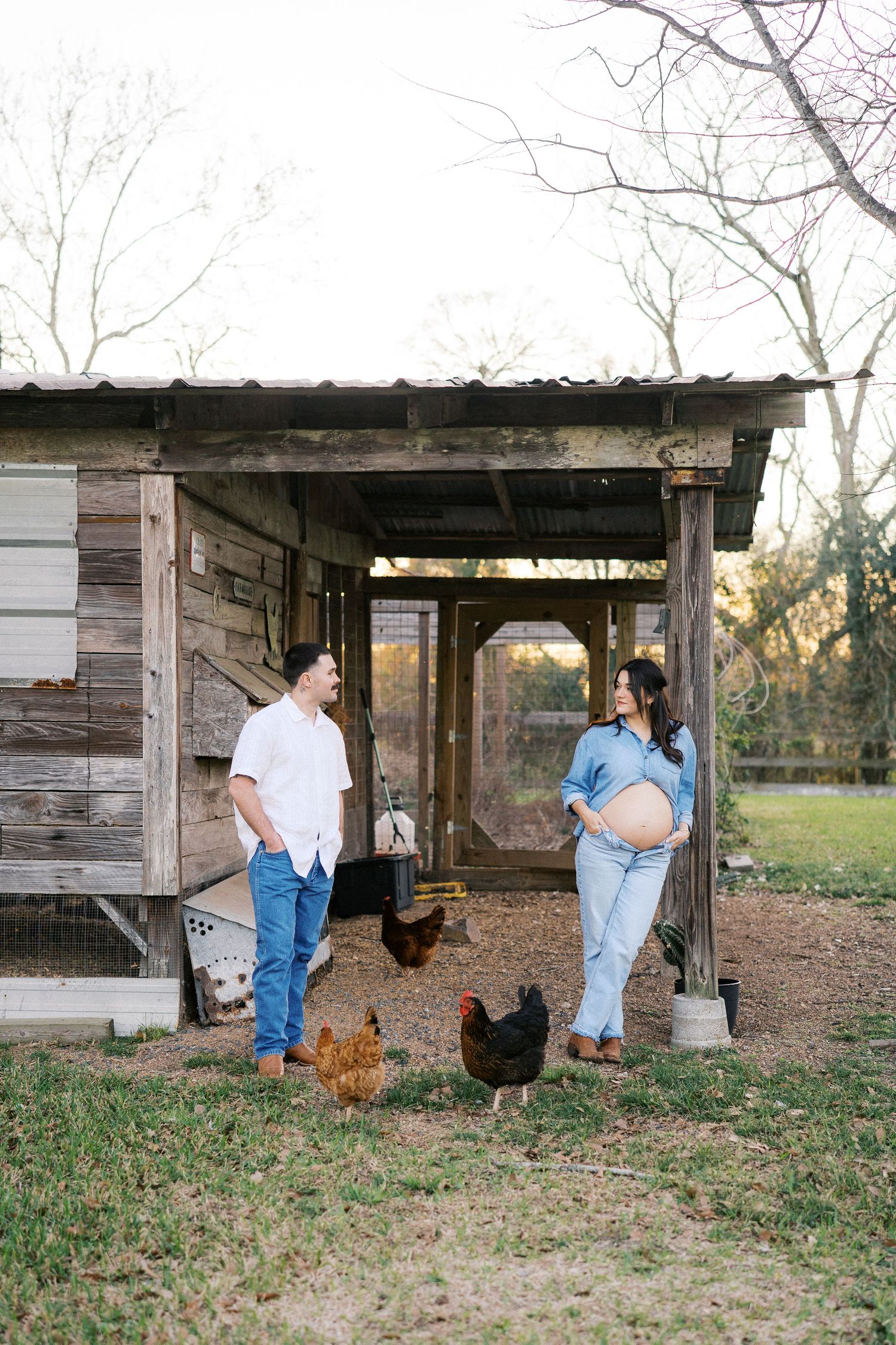 People in casual clothing feed chickens under a rustic wooden shelter on a rural farm property.