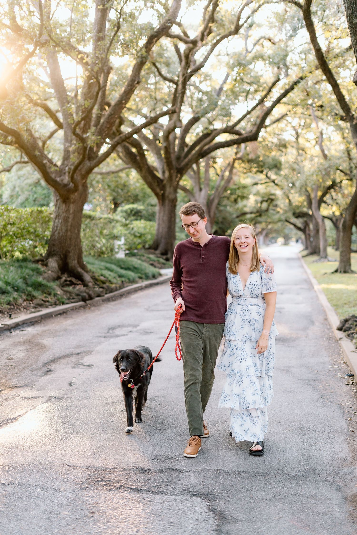 A couple walks their dog down a scenic path lined with large oak trees.