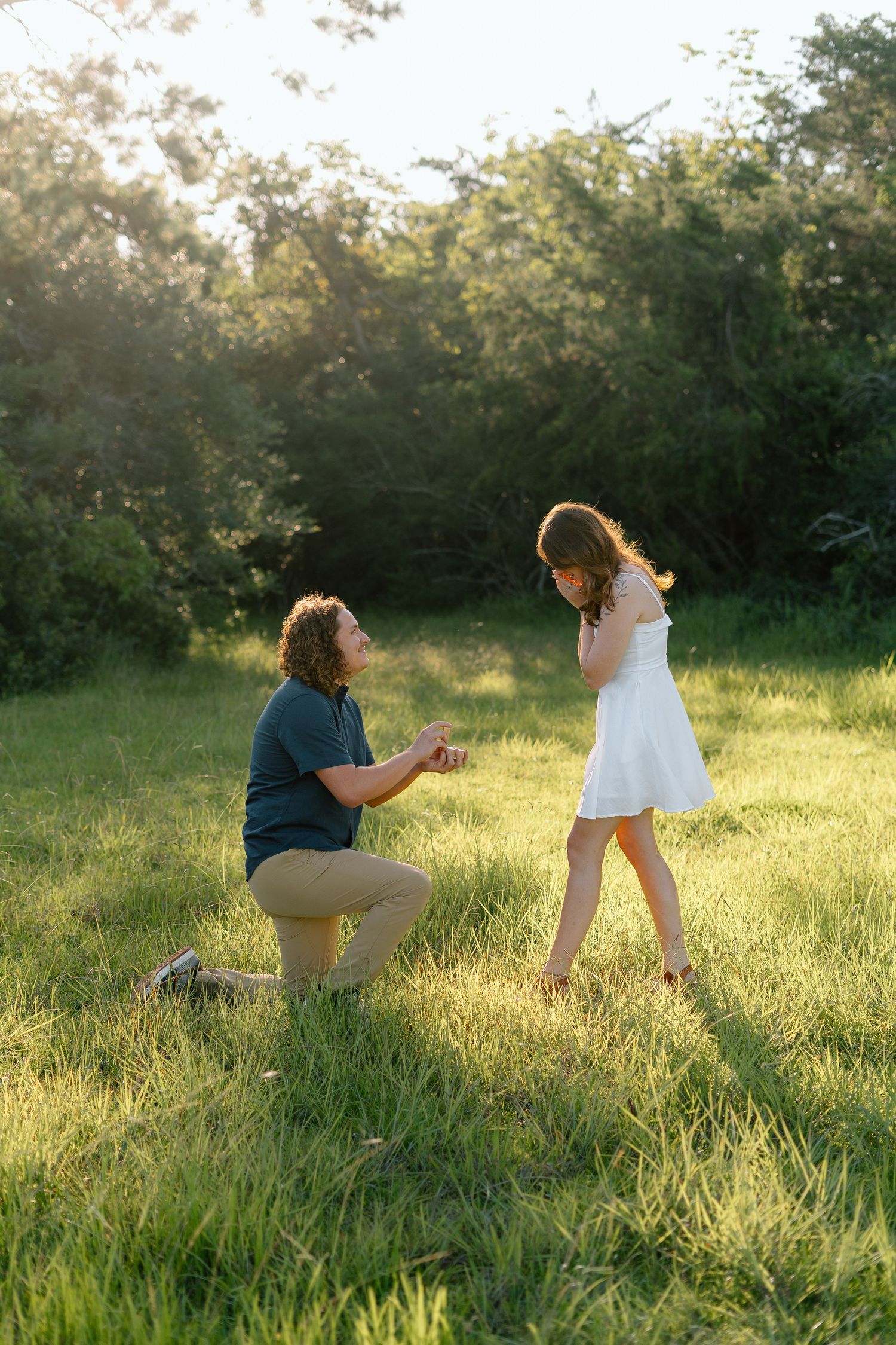 A proposal scene unfolds in a sunlit meadow during golden hour.