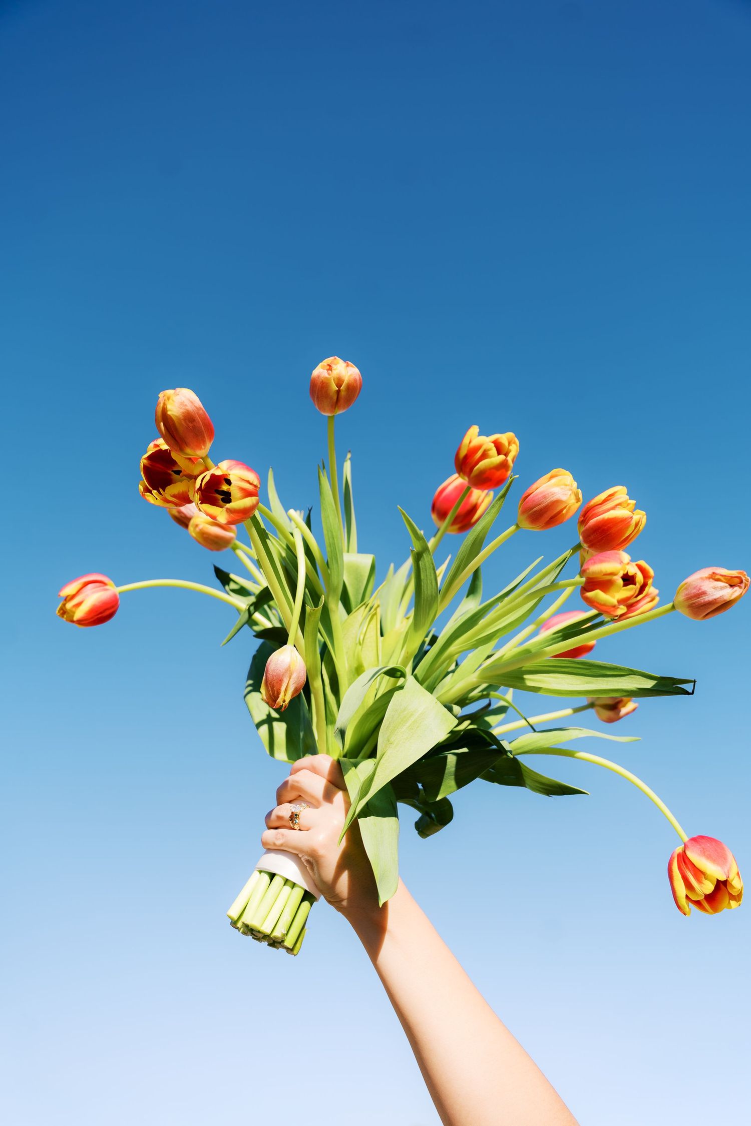 Hand holding a vibrant bouquet of red and yellow tulips raised against a clear blue sky.