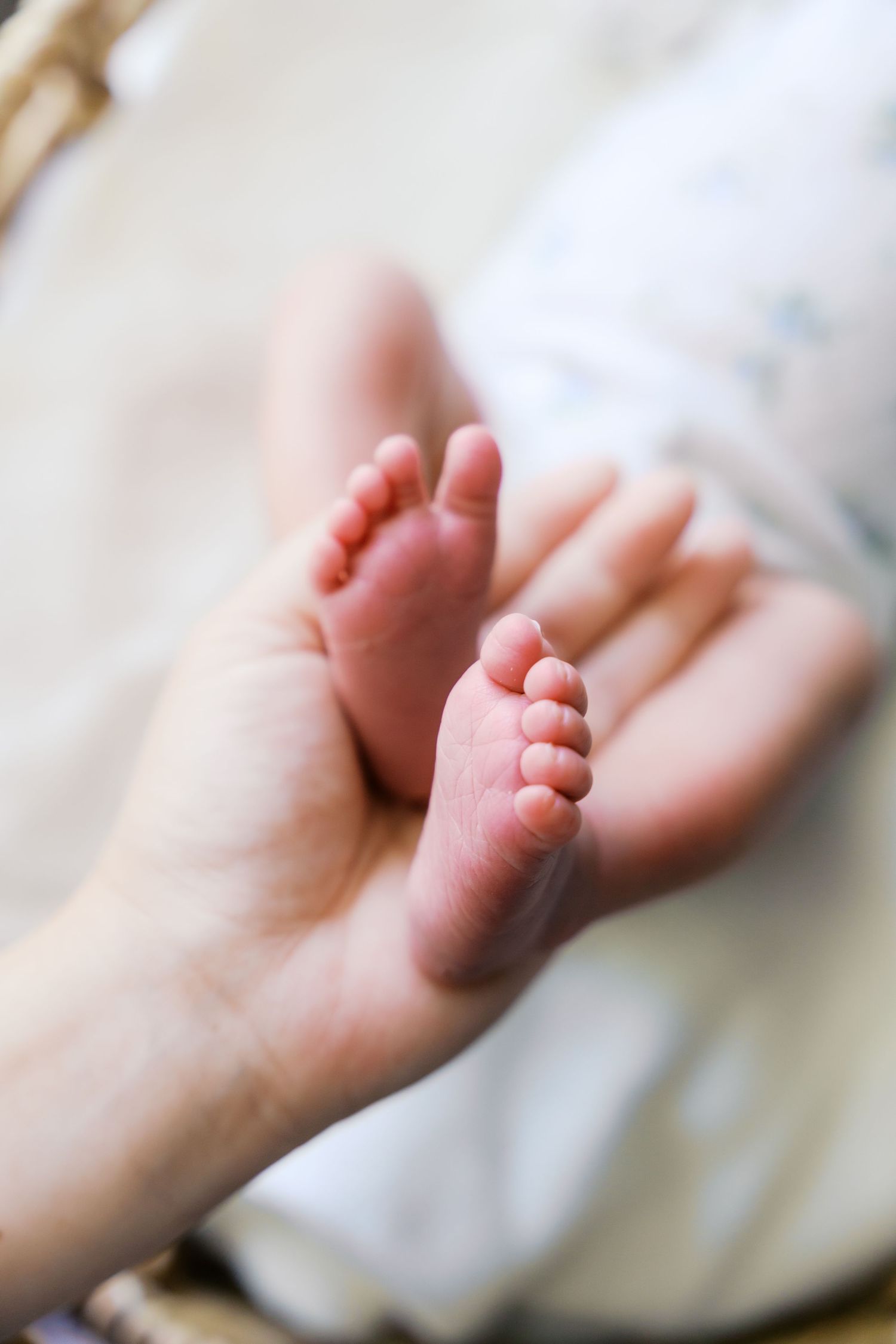 Close-up shots of tiny newborn baby feet against white fabric.