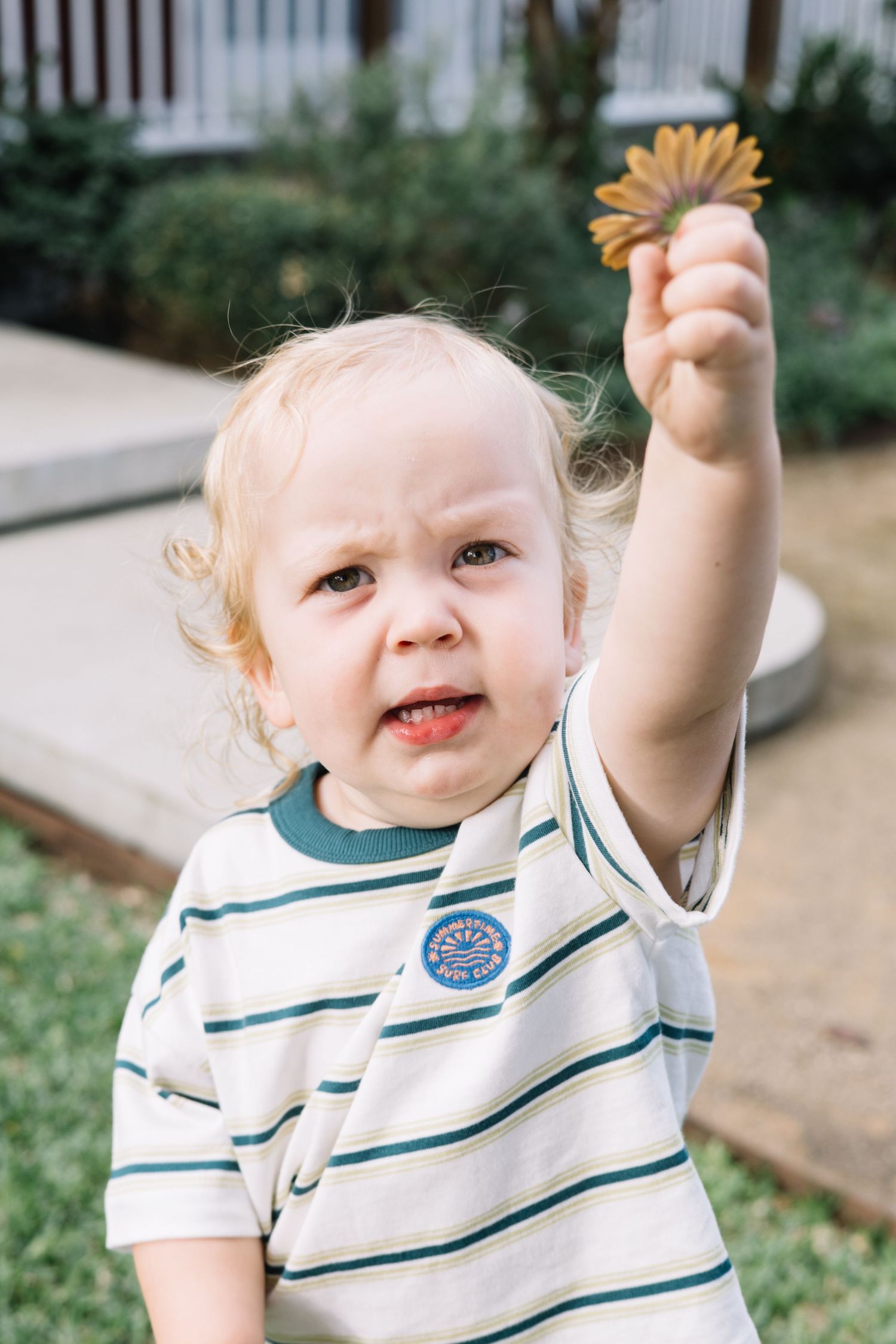 Toddler in striped shirt holds up a yellow flower with a pouty expression outdoors.