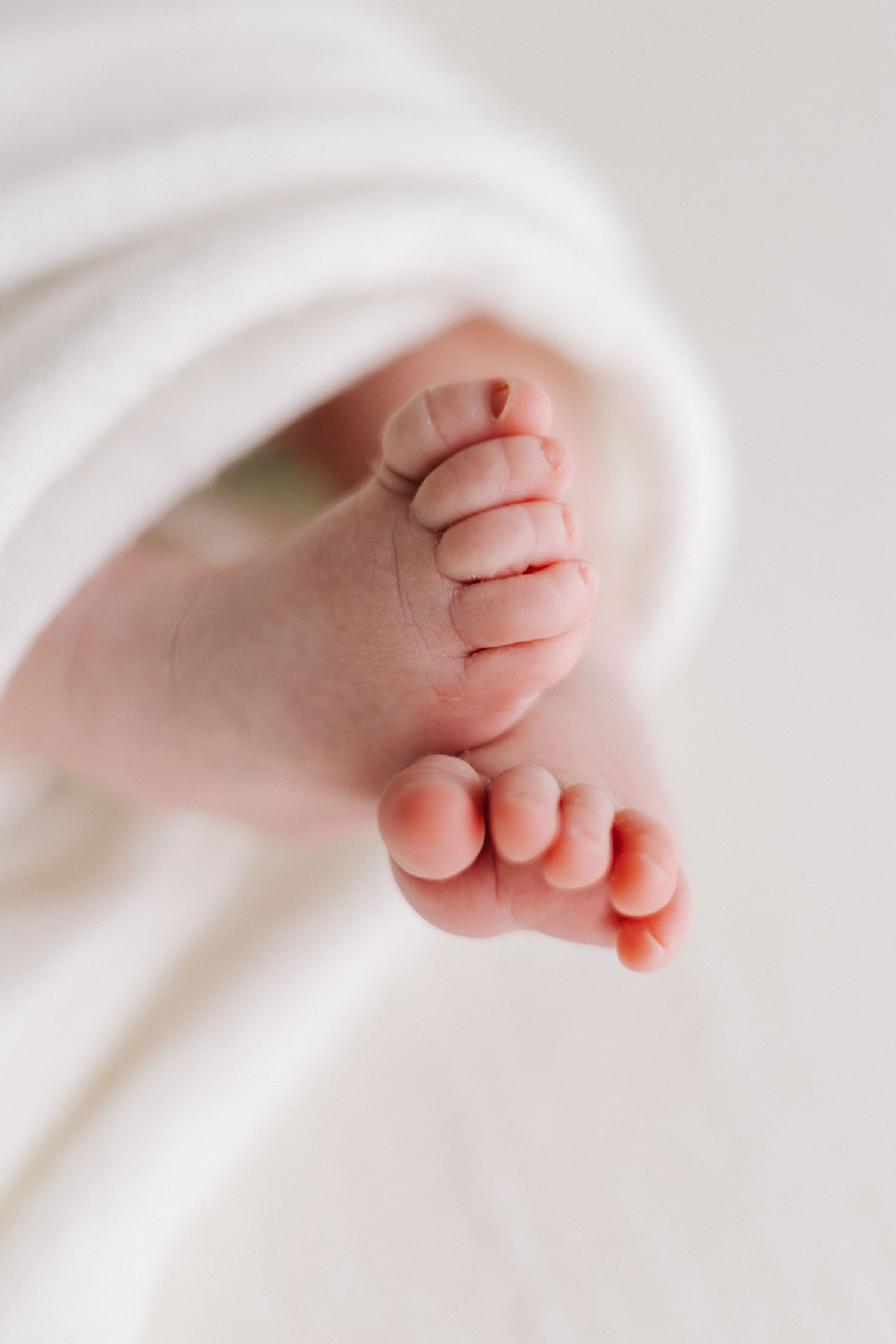Close-up of tiny newborn baby feet peeking out from a soft white blanket.