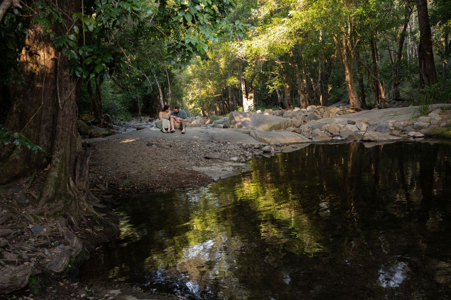 A serene forest creek with still reflective water surrounded by lush green trees and rocky banks in a tropical woodland.