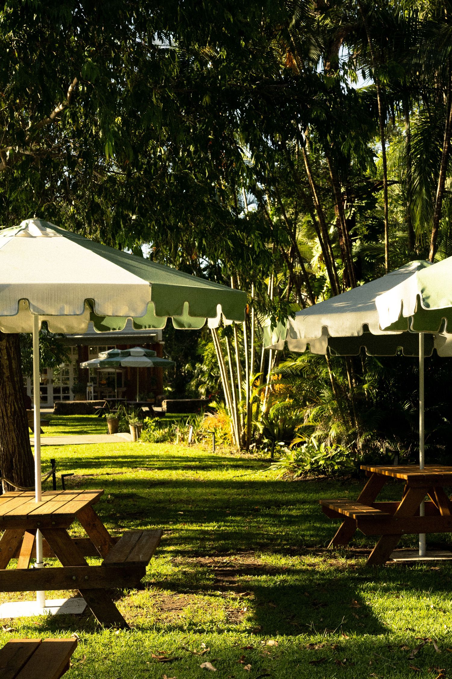 Alsahwa Estate, Sunshine Coast Hinterland, Family Photos, Brand Photography