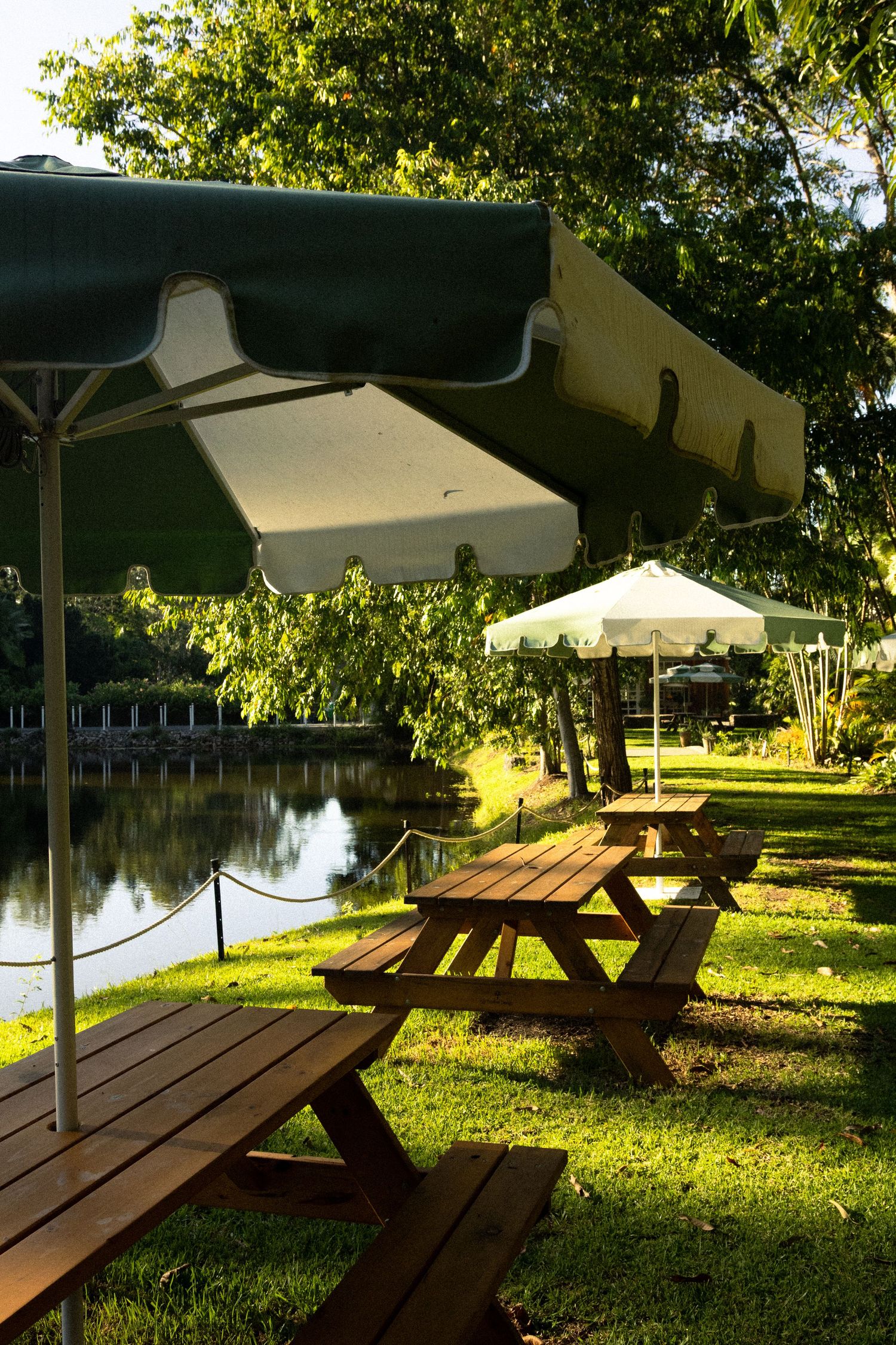 Alsahwa Estate, Sunshine Coast Hinterland, Family Photos, Brand Photography