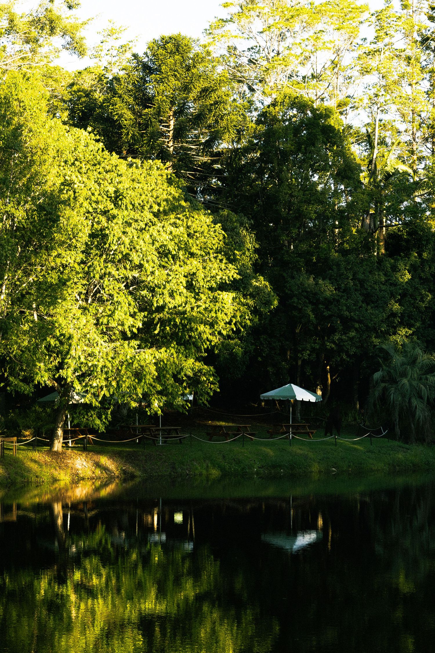Alsahwa Estate, Sunshine Coast Hinterland, Family Photos, Brand Photography