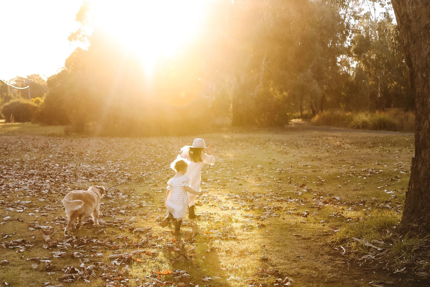 golden hour, documentary style photography, family photography
