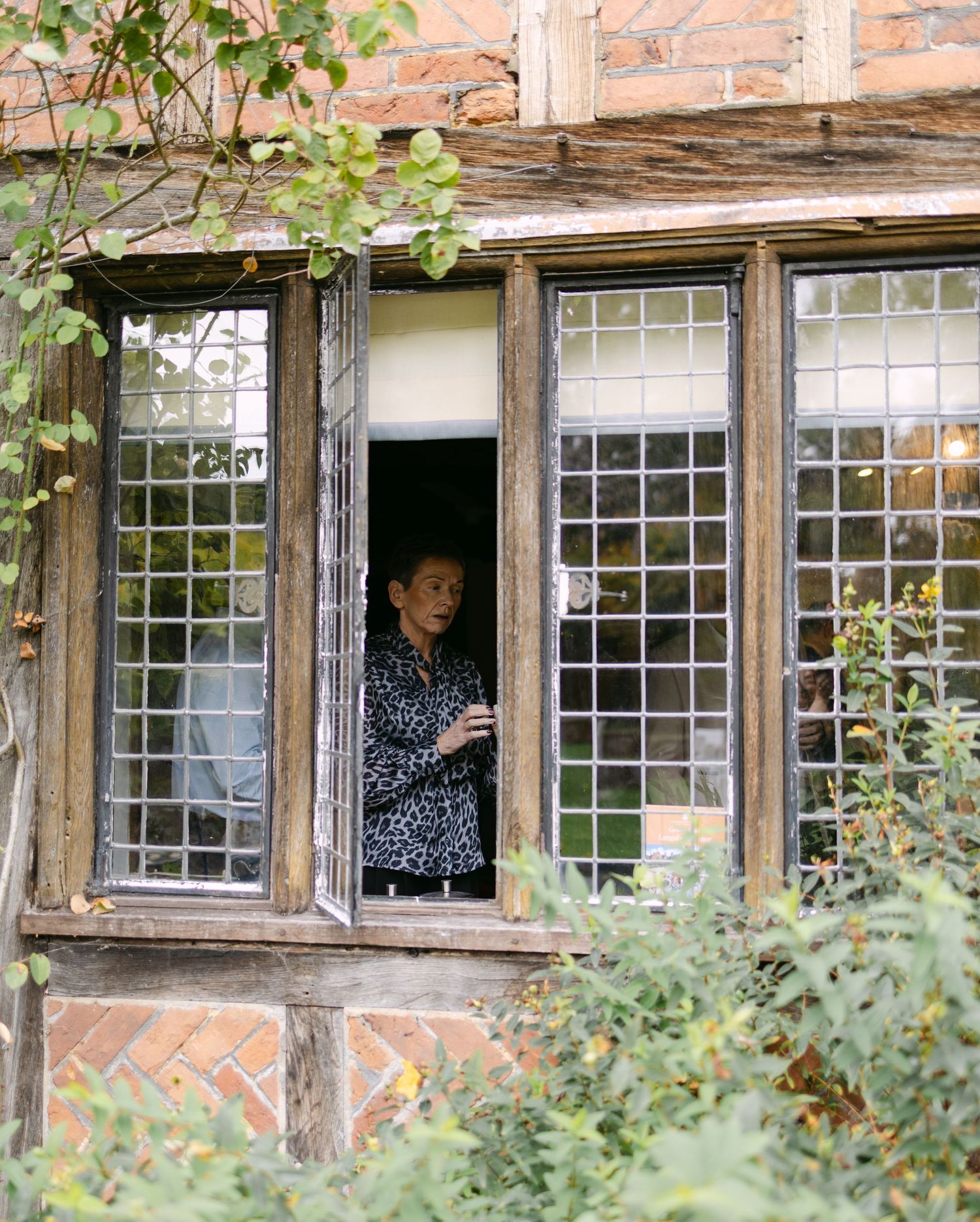 View through multiple Tudor-style windows with brick and wooden framing.
