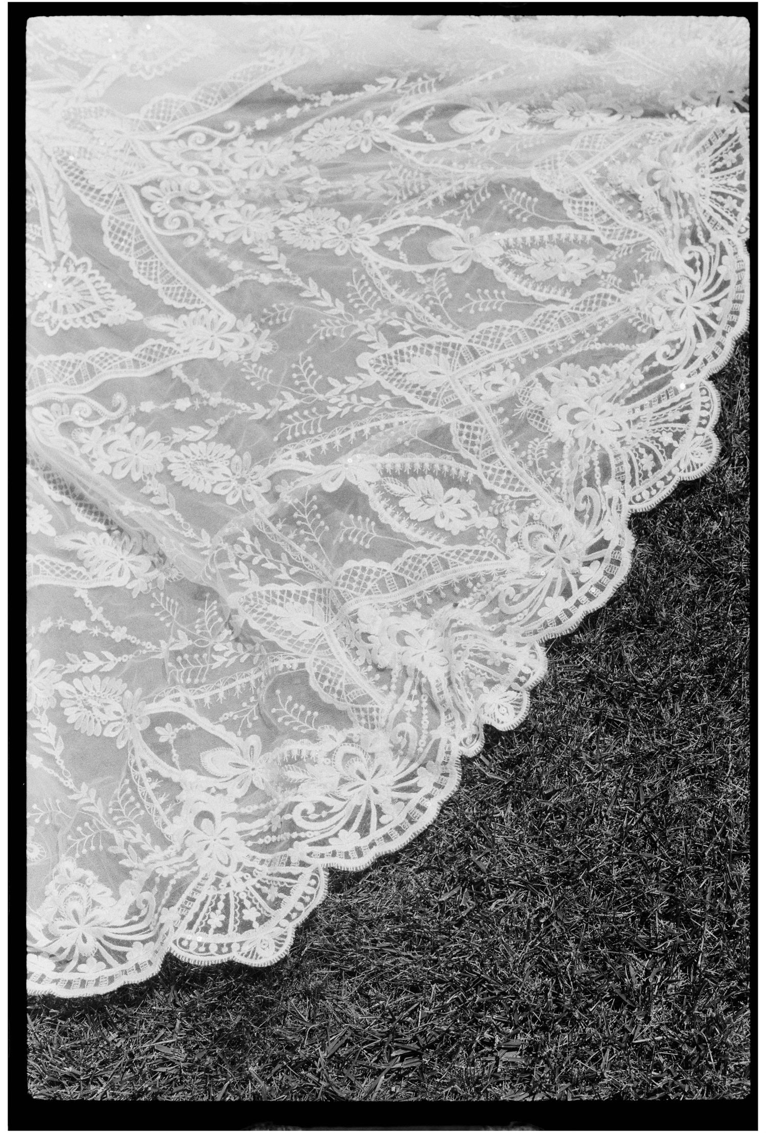 Elegant white lace wedding veil with intricate floral pattern and scalloped edge resting on dark grass.