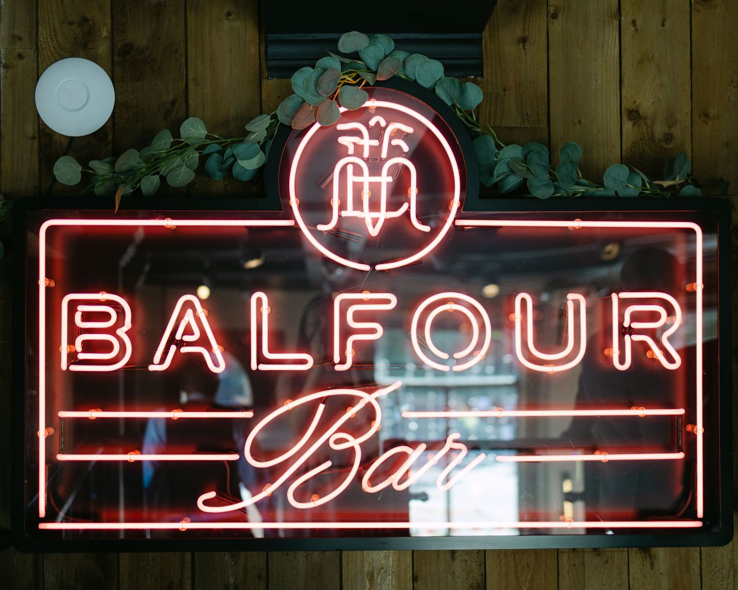 Illuminated red neon signs spelling out 'Balfour' against a dark wooden wall.
