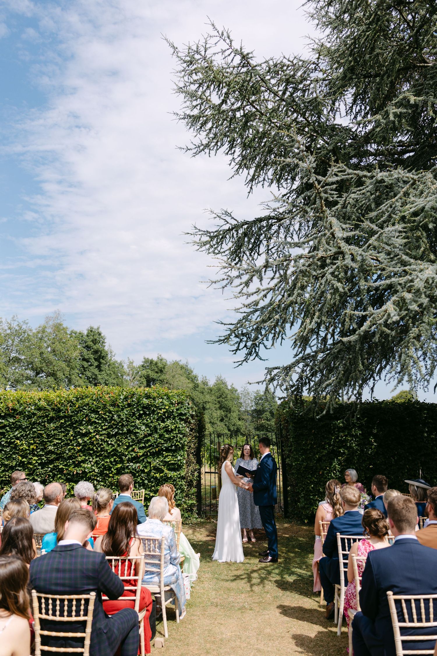 Outdoor wedding ceremony with guests seated on chairs beneath a large cedar tree.