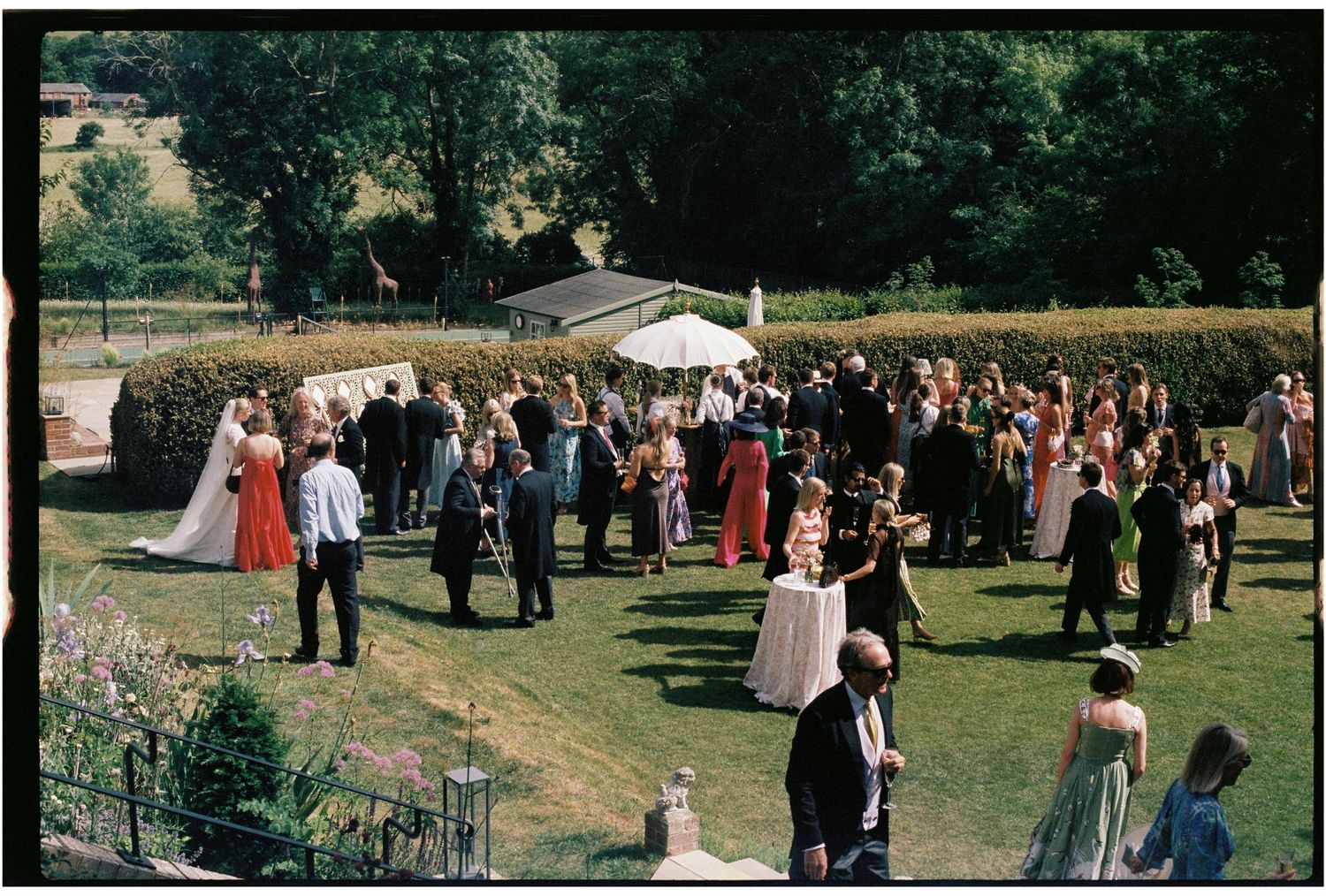 Wedding guests mingling outdoors in a lush green garden during a sunny reception celebration.