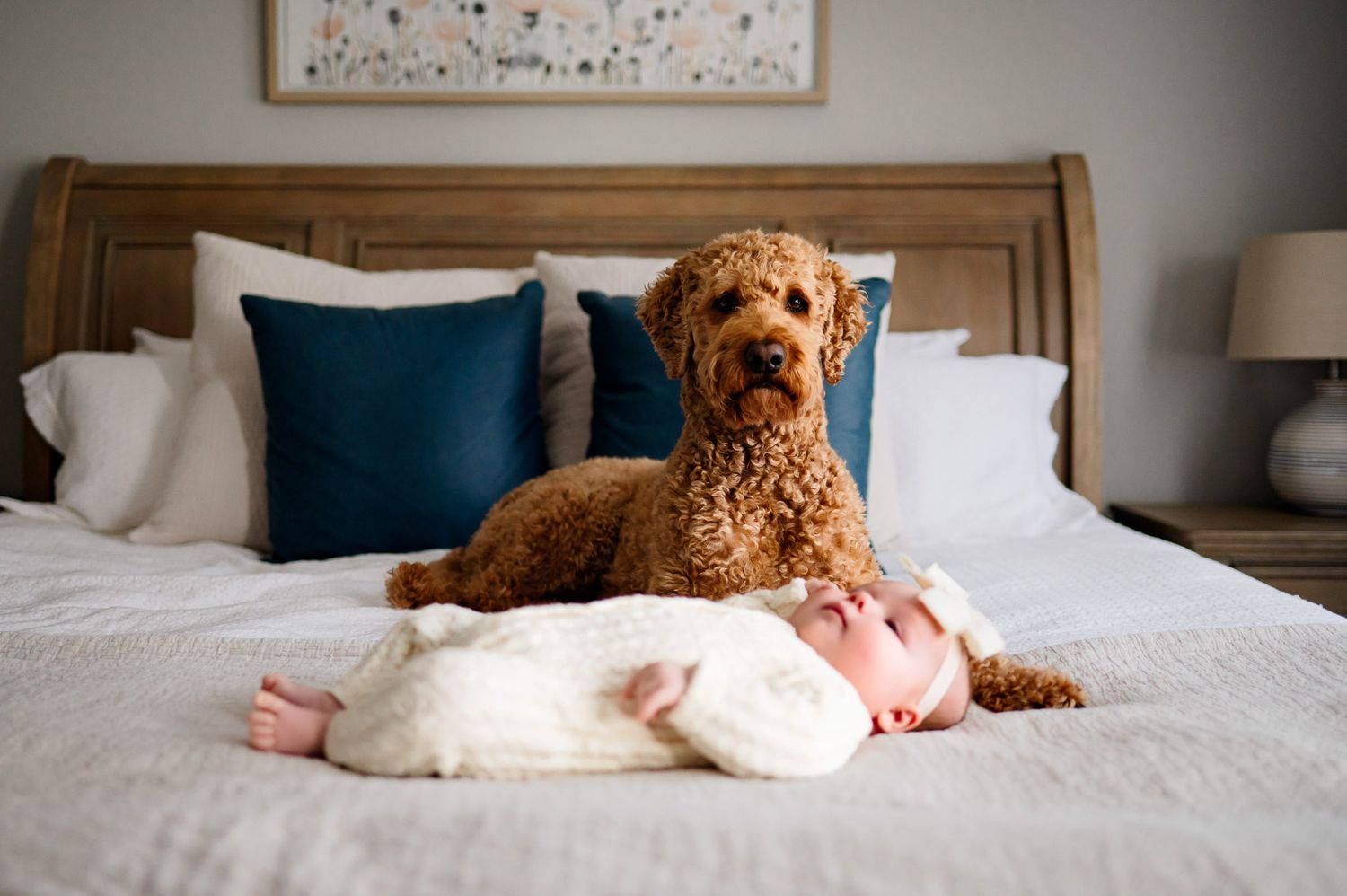 Family dog resting beside newborn baby during cozy in home lifestyle newborn photography session in Raleigh NC