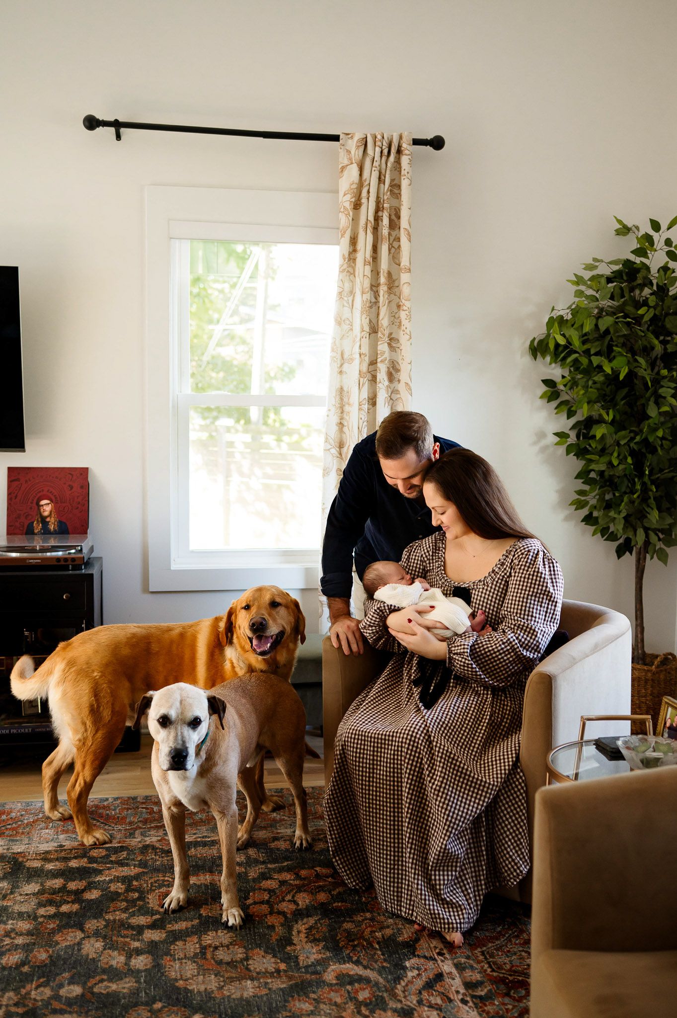 New parents sitting together with their newborn baby while their dogs stand nearby during a lifestyle newborn photography session at home