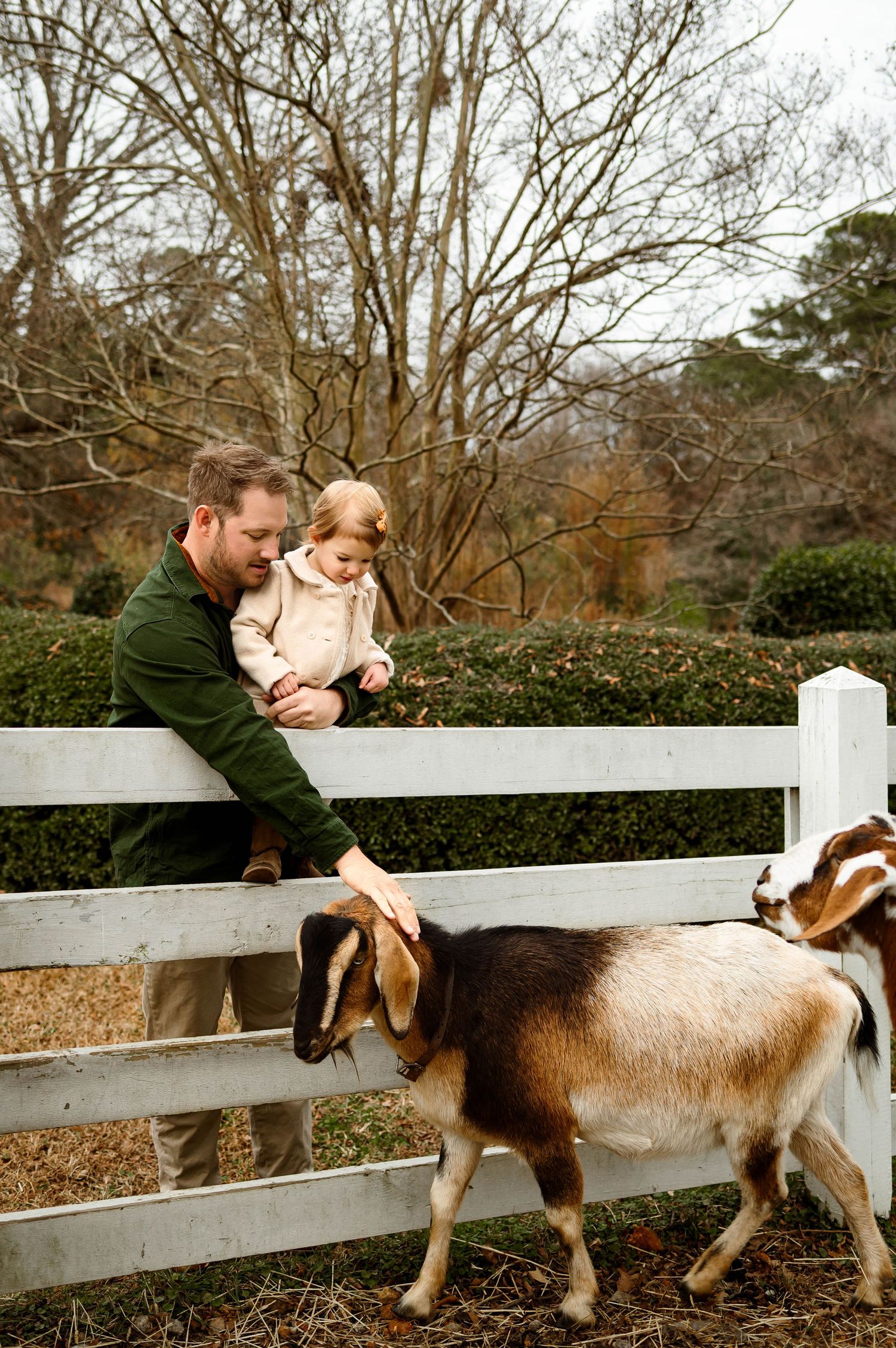 Father and child interacting with goats during a lifestyle family photography session in Raleigh
