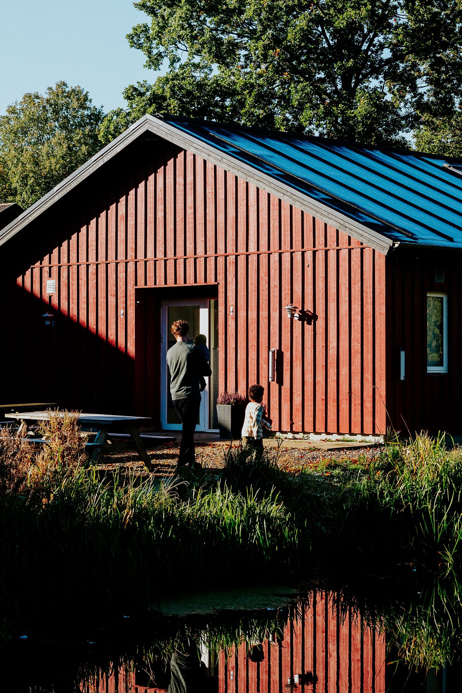 Red wooden cabin with blue metal roof reflects in still water surrounded by tall grass and trees on a sunny day.
