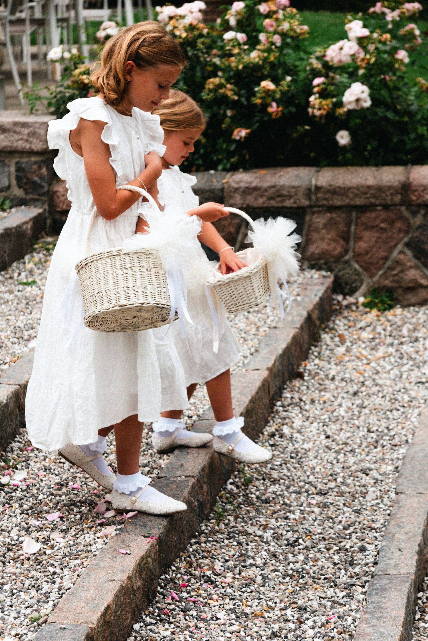 Young flower girls in white dresses carrying wicker baskets walk along a stone path near blooming rose bushes.