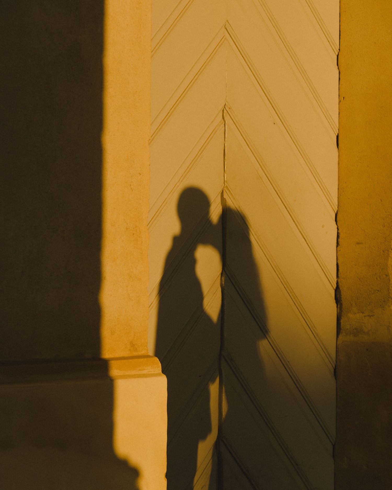 Two shadows cast on a chevron-patterned door in golden evening light.
