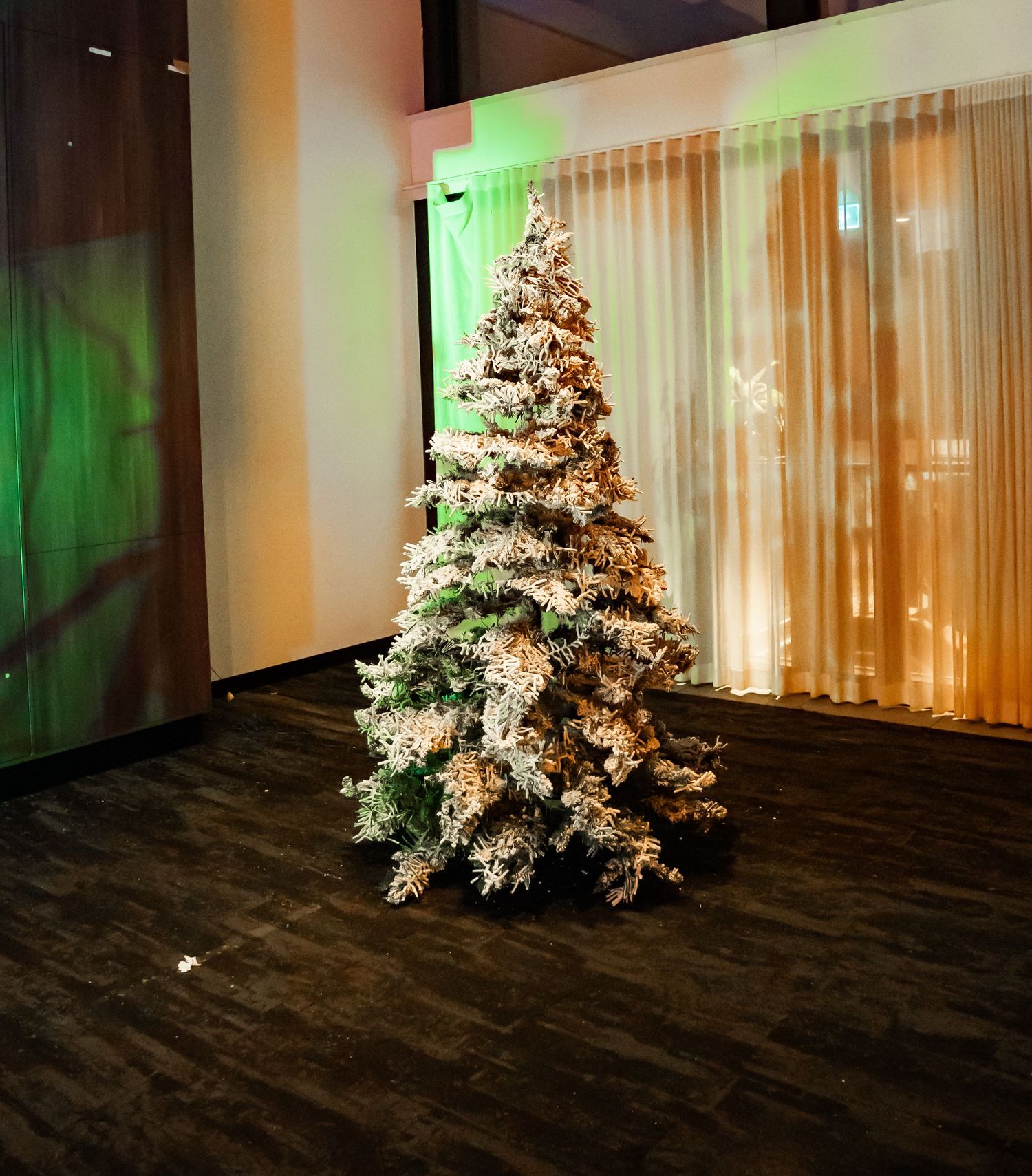 A series of illuminated Christmas trees in a dark room with sheer curtains and ambient green lighting.