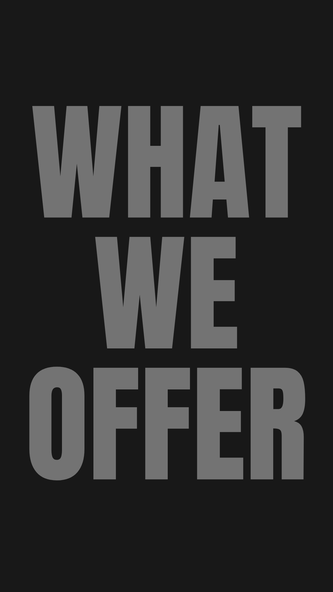 Bold gray text reading What We Offer on a dark black background, ideal for business or marketing presentations.