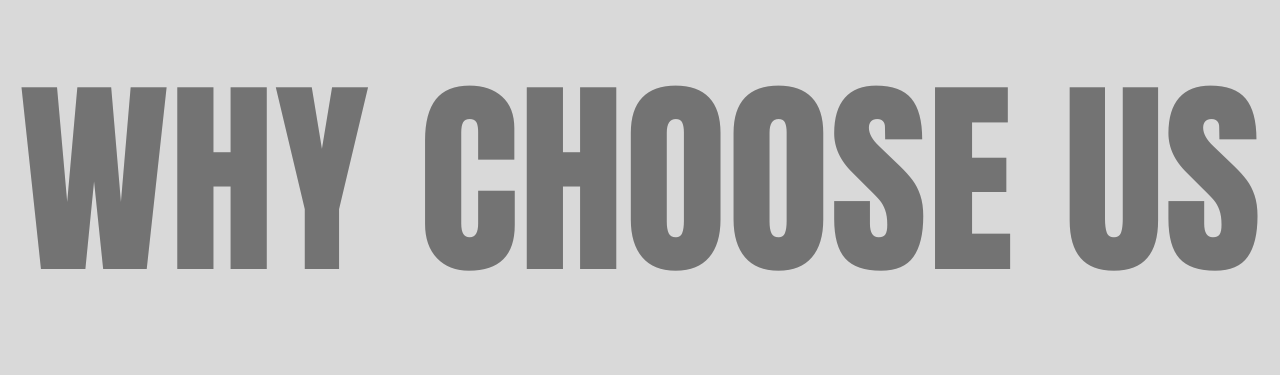 Bold gray text reading 'WHY CHOOSE US' on a light background.