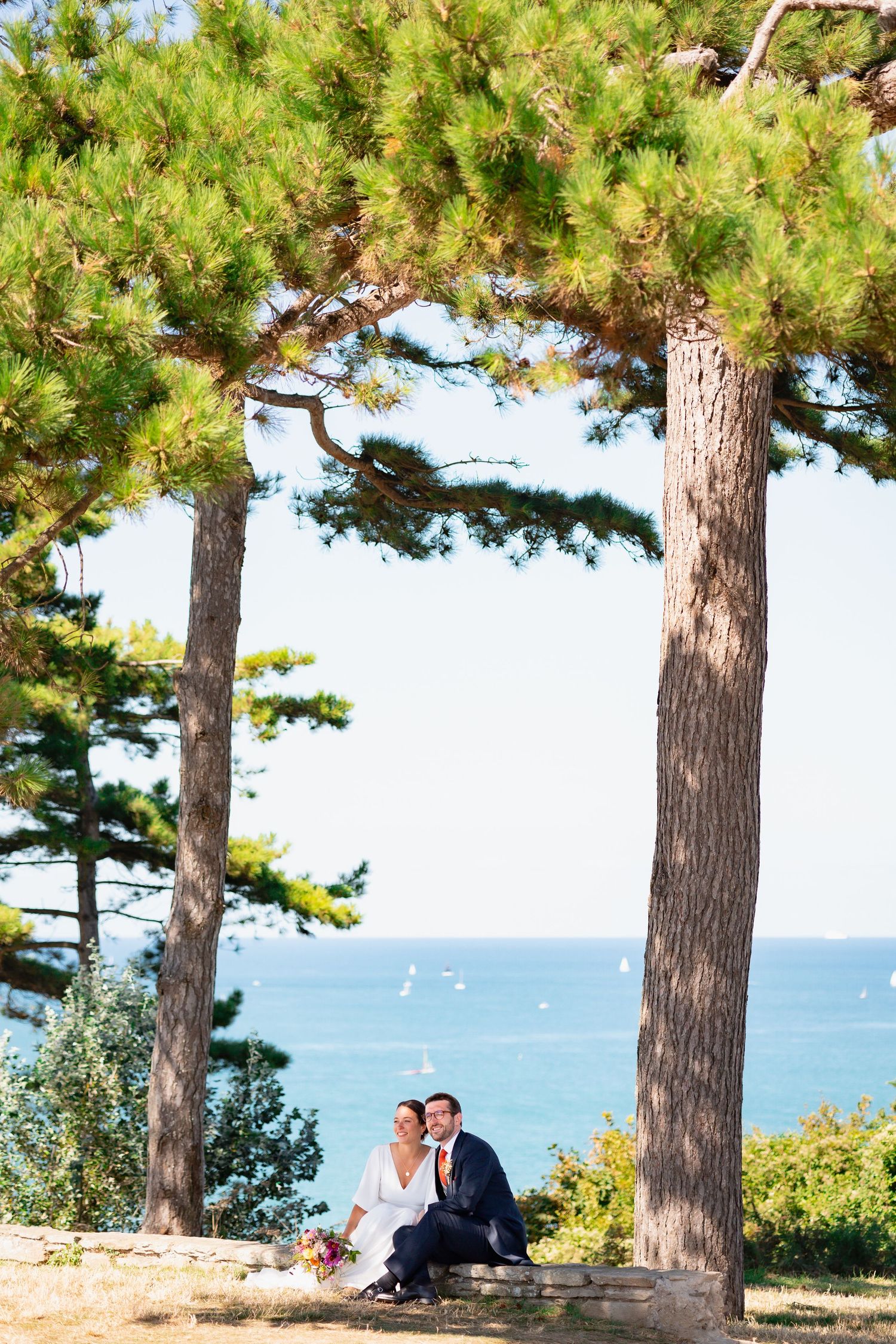 Two pine trees frame a scenic coastal view on a cliff overlooking blue ocean waters on a sunny summer day.