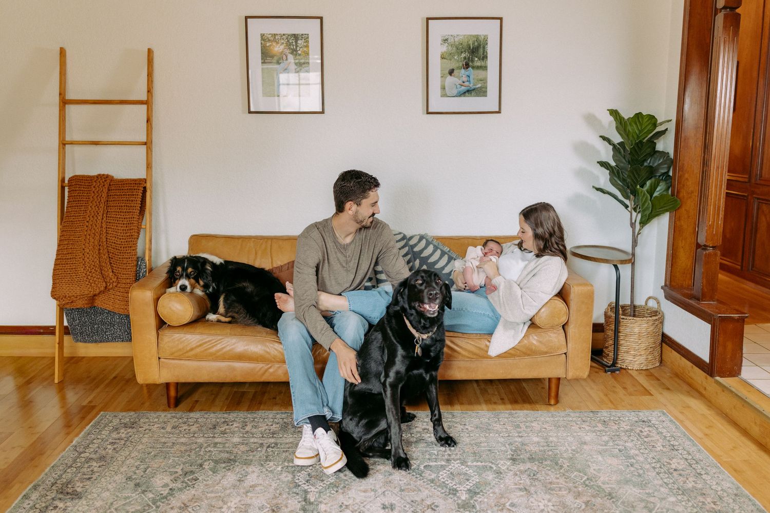 A black dog lies on a patterned rug in a cozy living room with wooden floors and framed wall art.