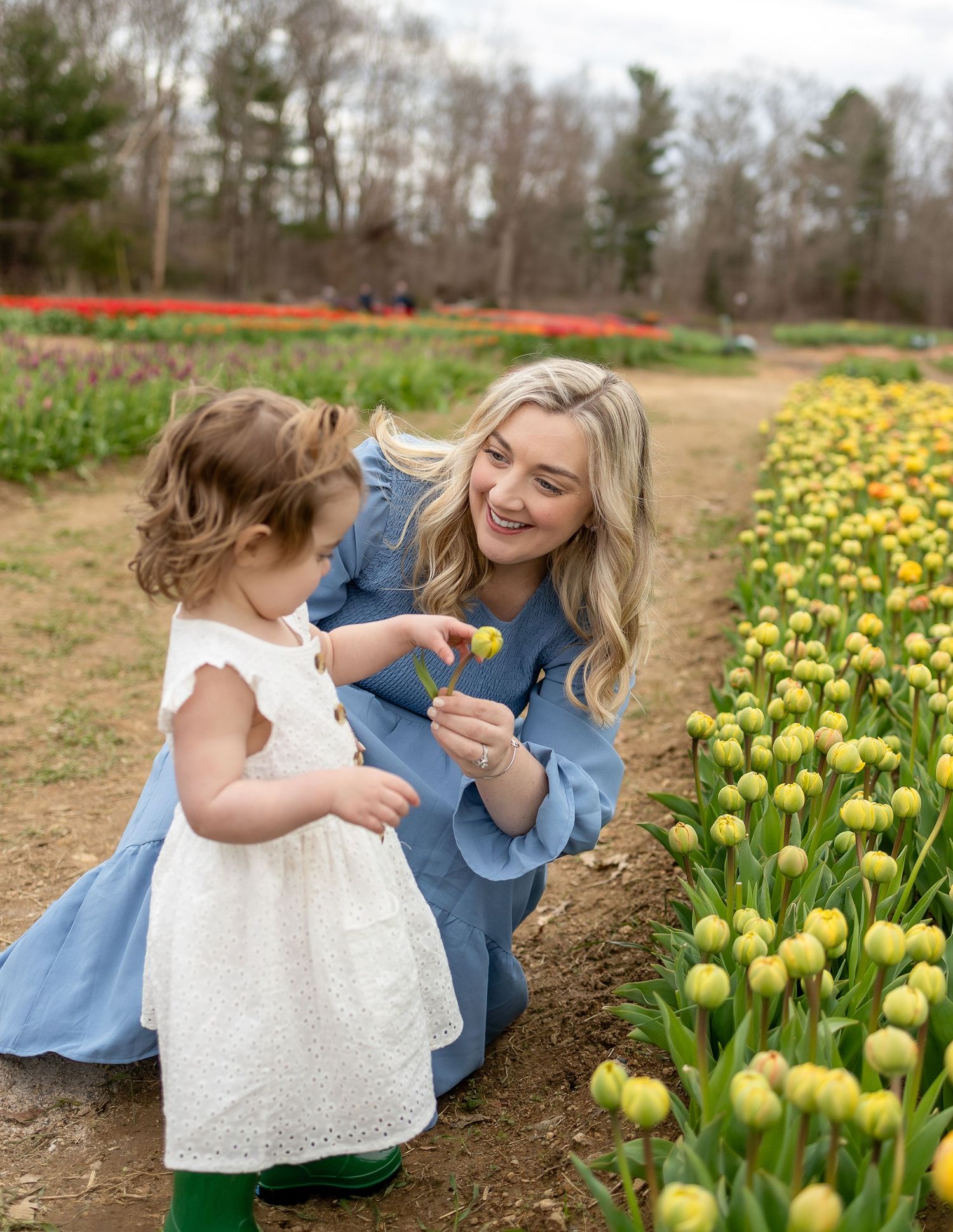 A joyful moment shared among tulips as they examine yellow flowers in a spring garden.