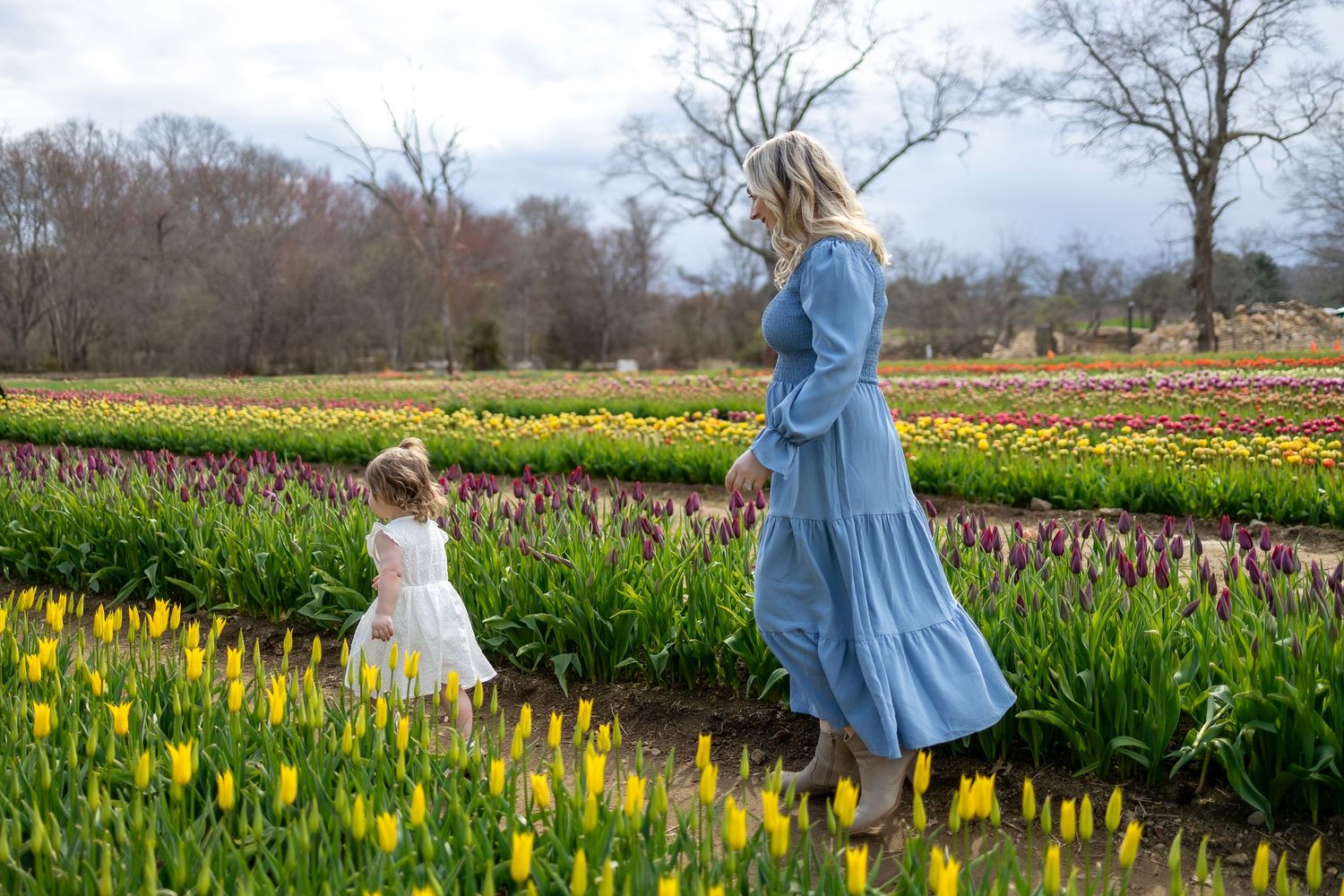Walking through vibrant tulip fields on a spring afternoon.
