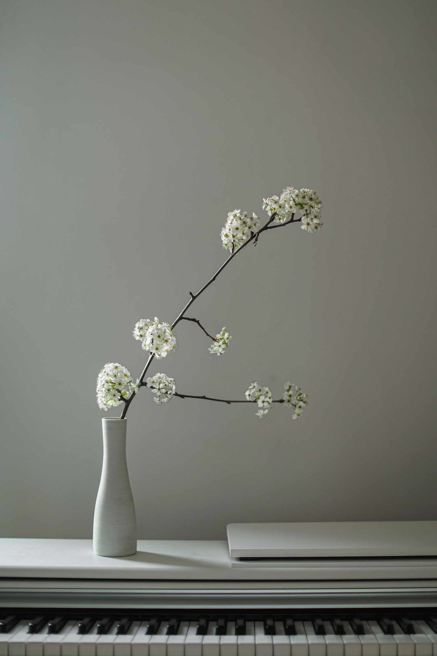 Delicate white flowers in a minimalist vase sit atop a piano keyboard against a gray background.